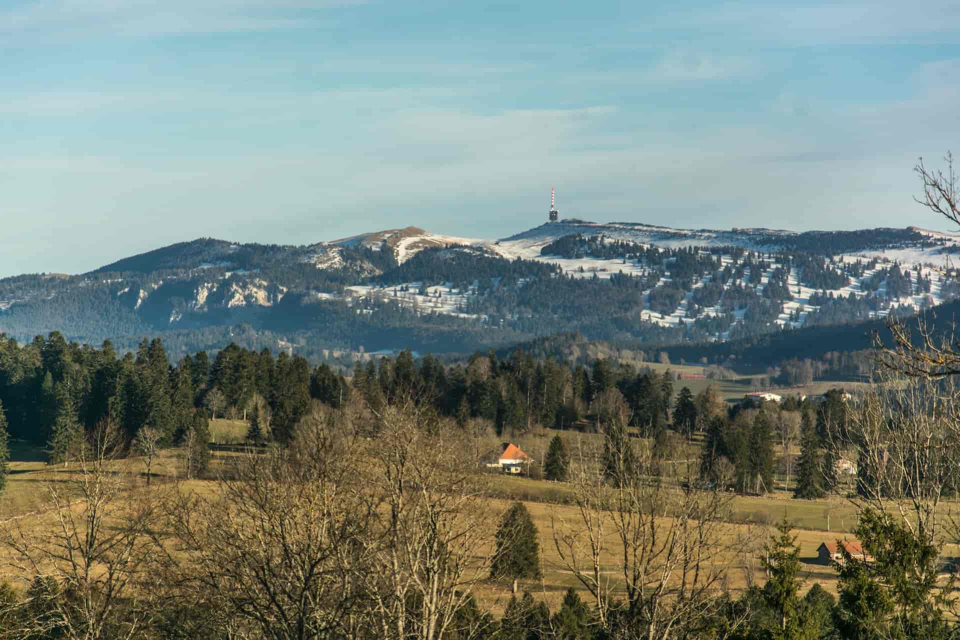 Ferme de Combazin , producteur à Cressier canton de Neuchâtel en Suisse