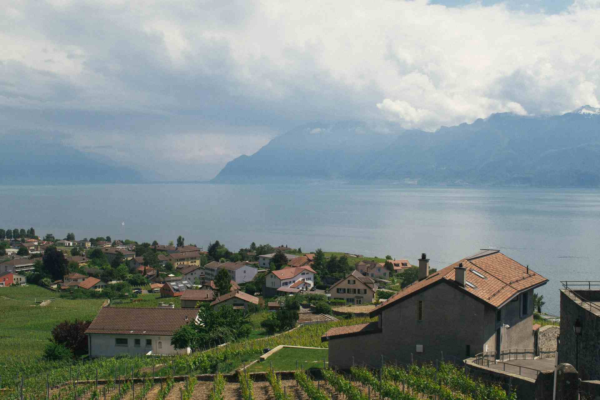 Luchino, producteur à La Croix canton de Vaud en Suisse, | Mimelis