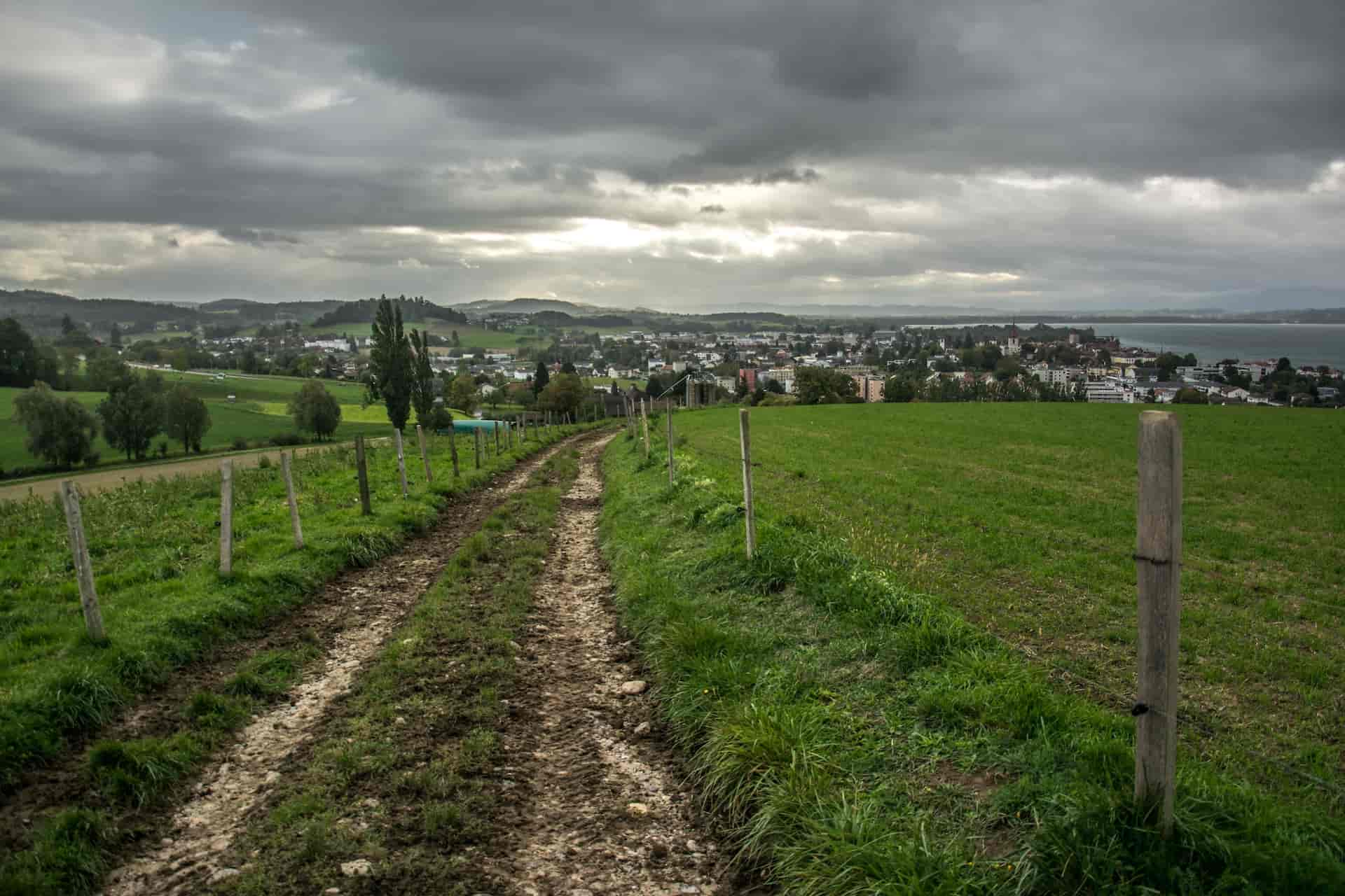 Domaine Renaud Burnier, producteur à Nant/Sugiez canton de Fribourg en Suisse