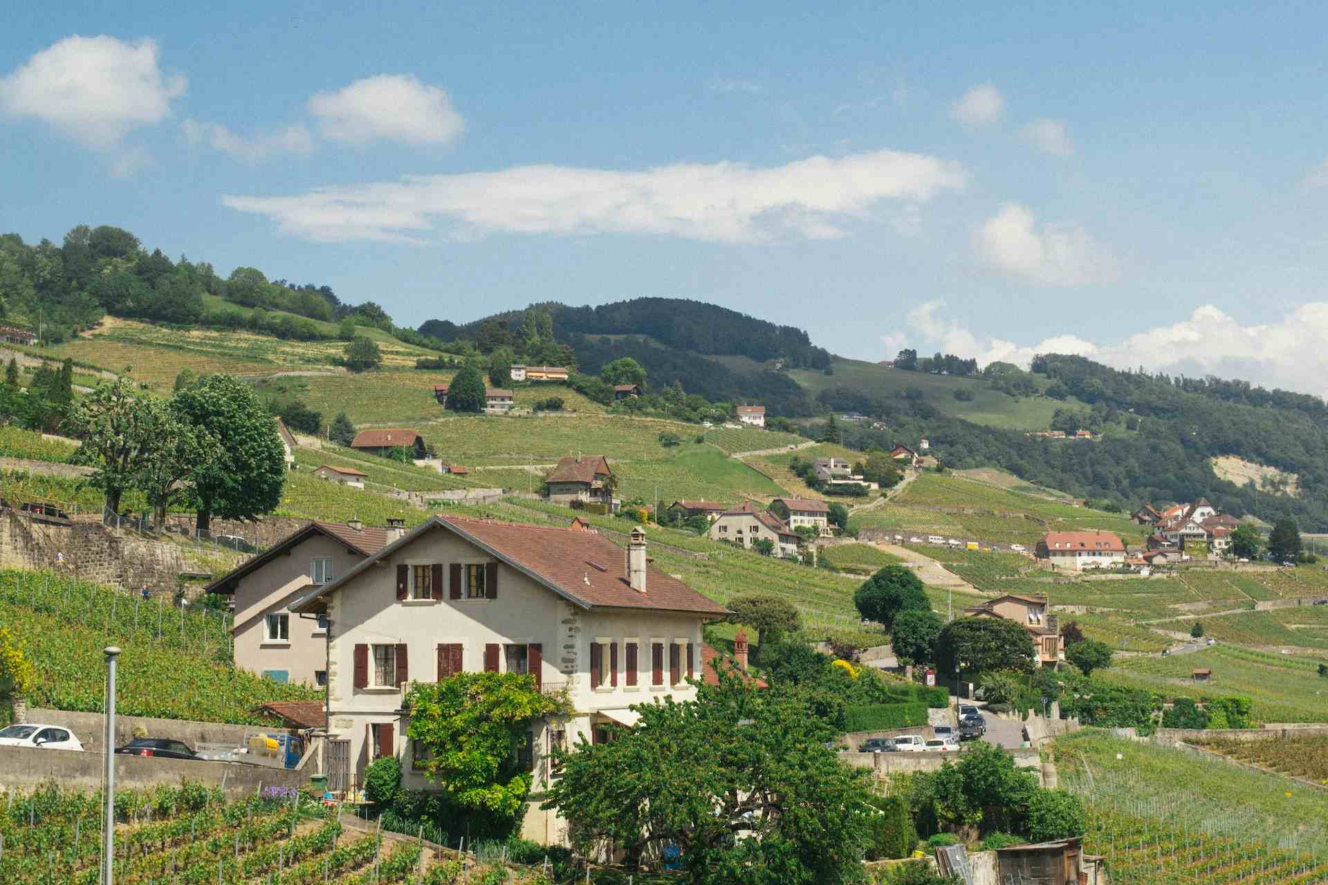 Ancienne Chartreuse de la Lance, produttore nel Concise canton Vaud in Svizzera, | Mimelis