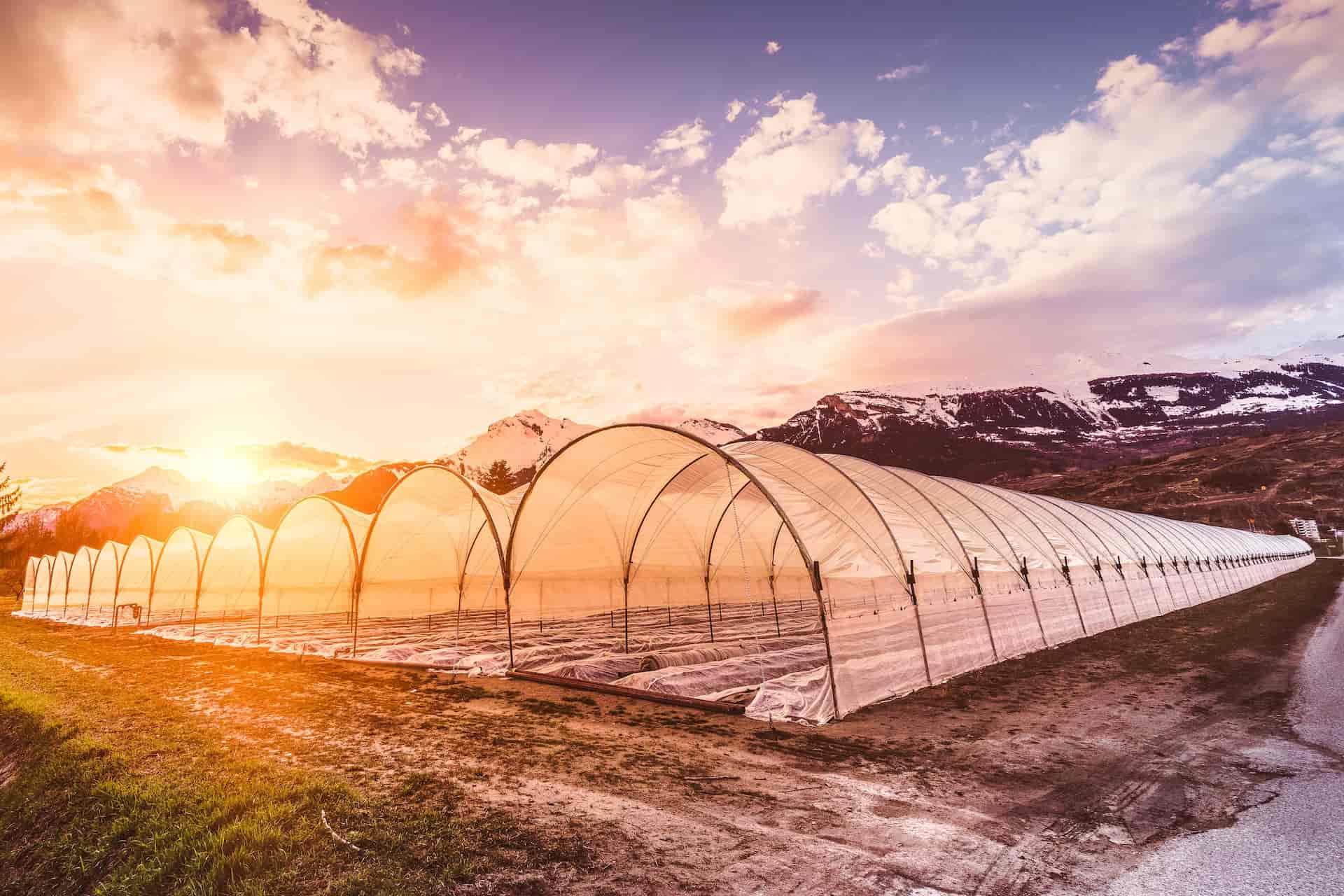 La Ferme du Nant, producteur à Choëx canton de Valais en Suisse