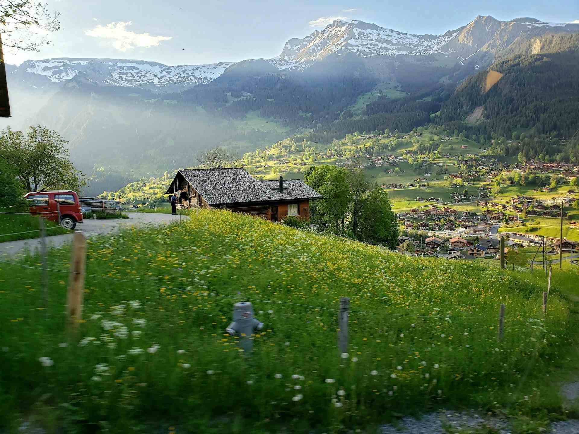 Alpine Permakultur Schweibenalp, Produzent in Brienz Kanton Bern in der Schweiz