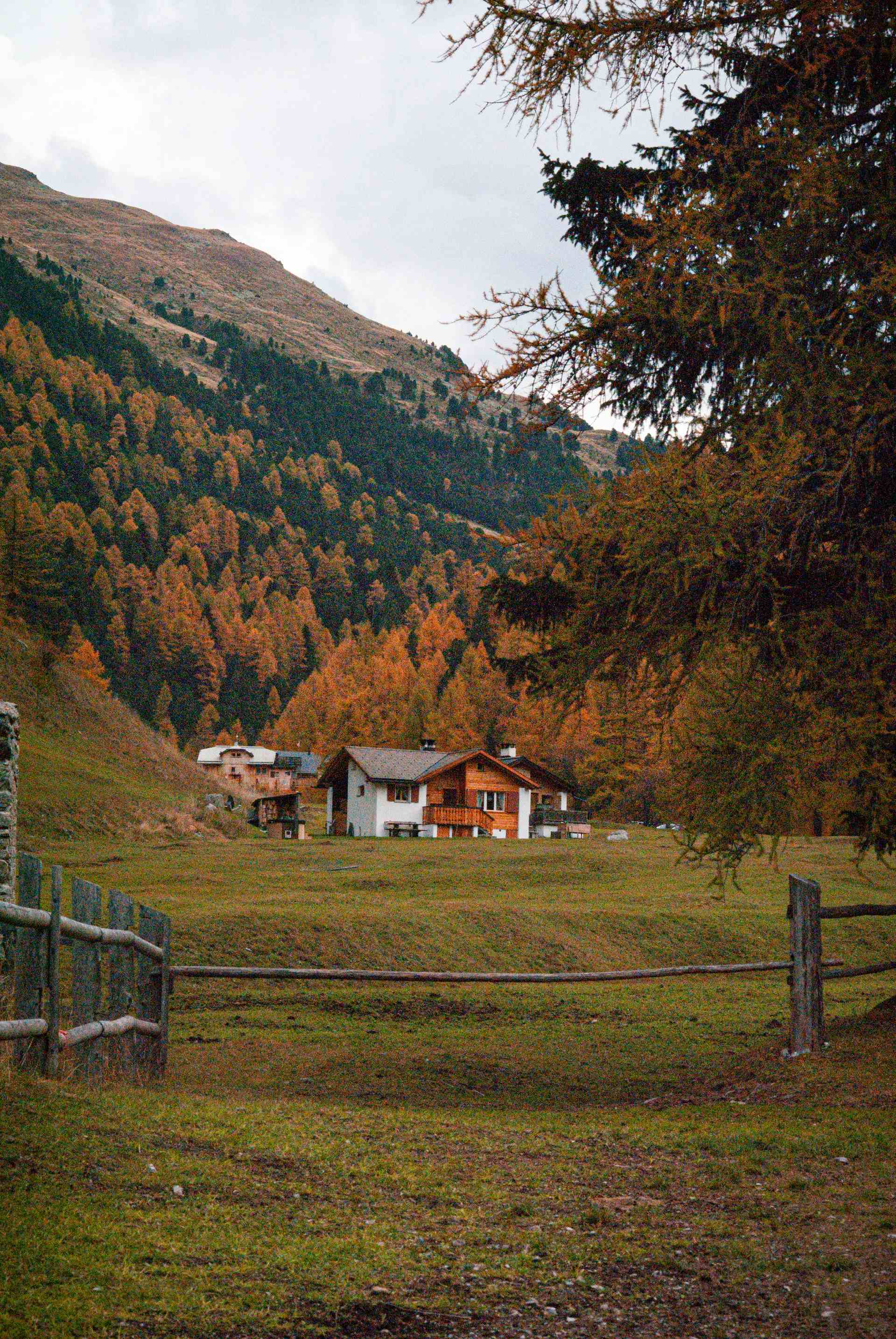 Biohof Pansal, produttore nel Schlans canton Grigioni in Svizzera, | Mimelis