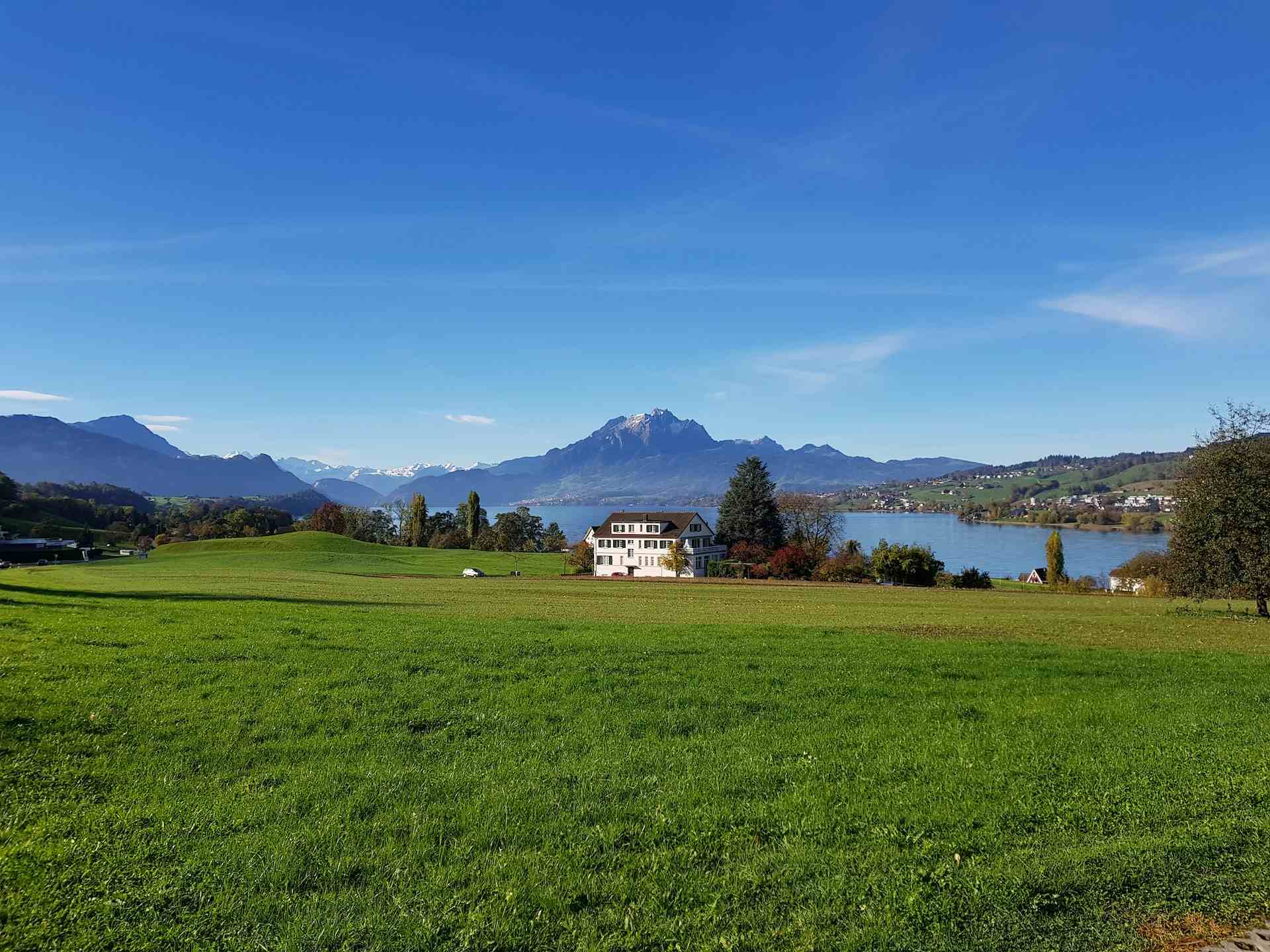 Hasliweid, Produzent in Vitznau Kanton Luzerne in der Schweiz