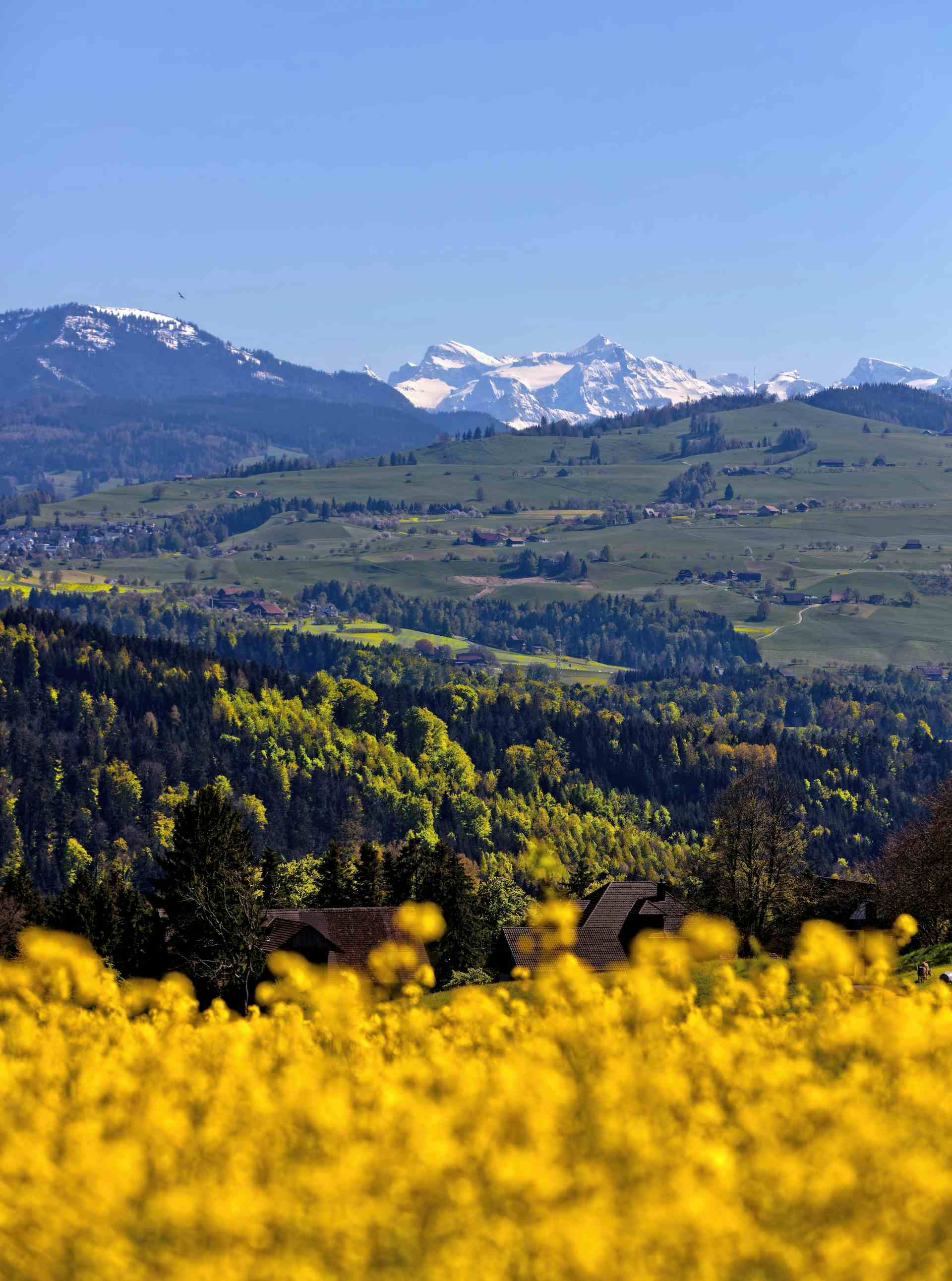 Biohof Zug, Produzent in Zug Kanton Zug in der Schweiz