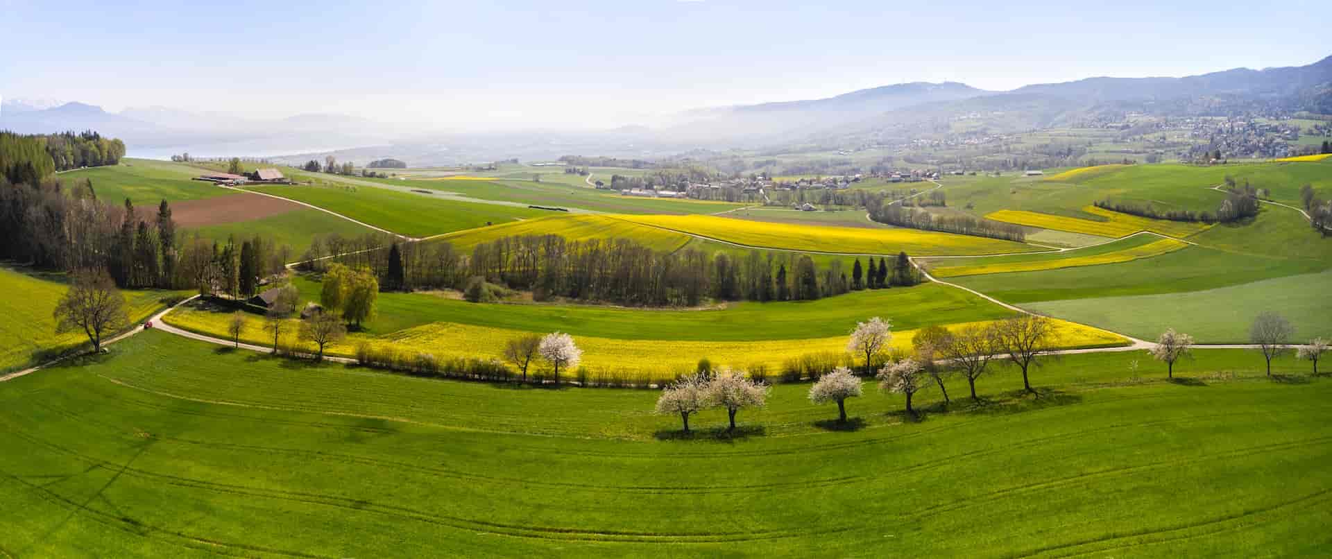 Domaine Château du Crest, producteur à Jussy canton de Genève en Suisse