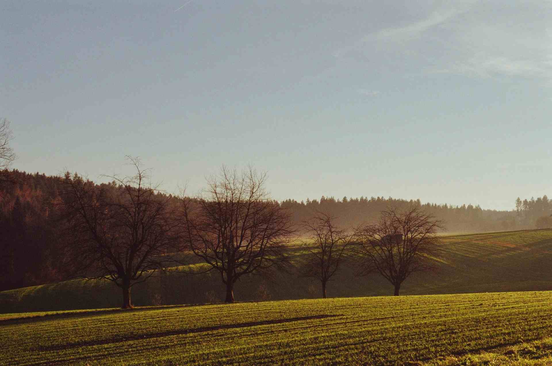Wildenau Landwirtschaft und Arbeitsagogik , producer in Stetten canton of Aargau in Switzerland