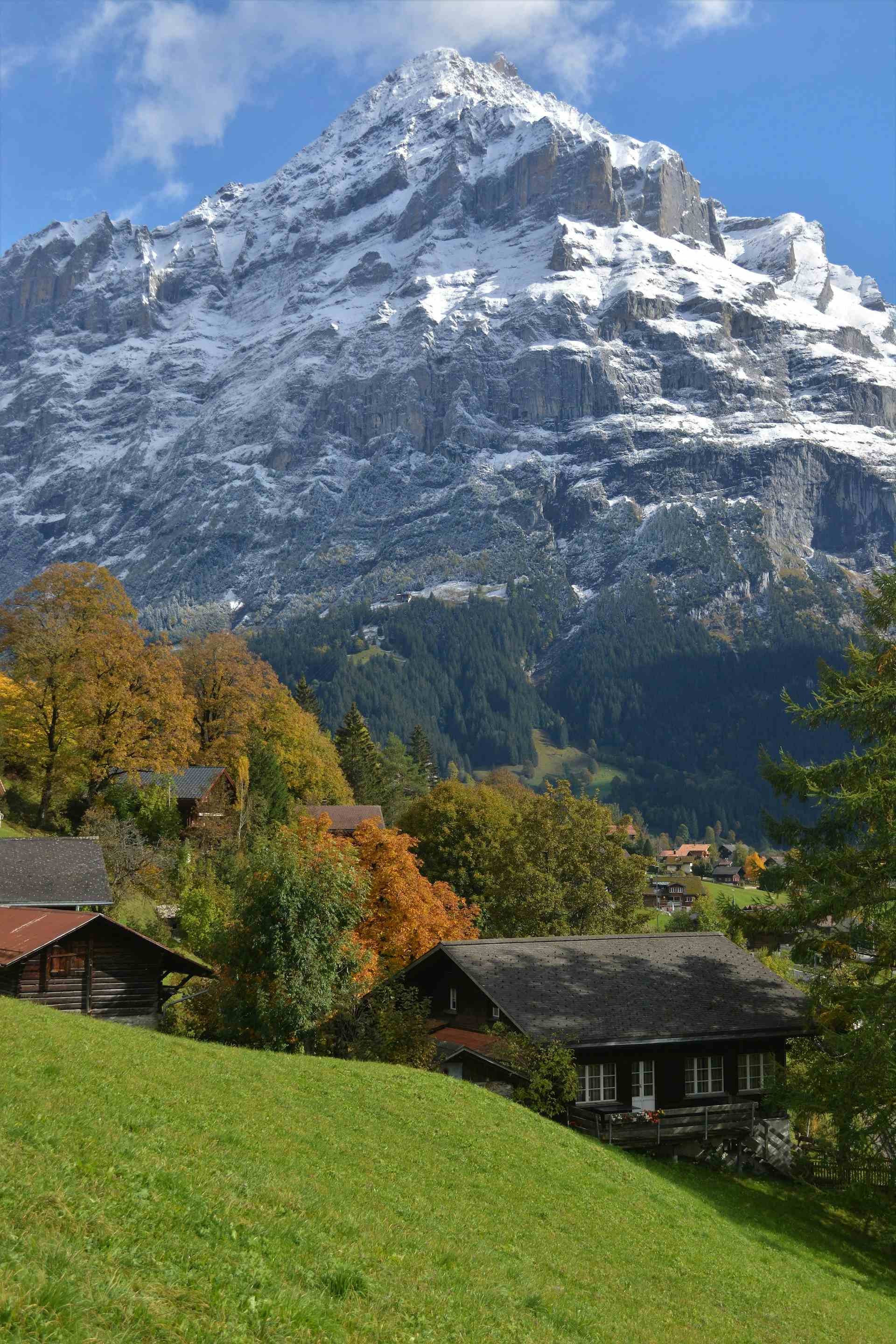 Affolter, Produzent in Leuzigen Kanton Bern in der Schweiz