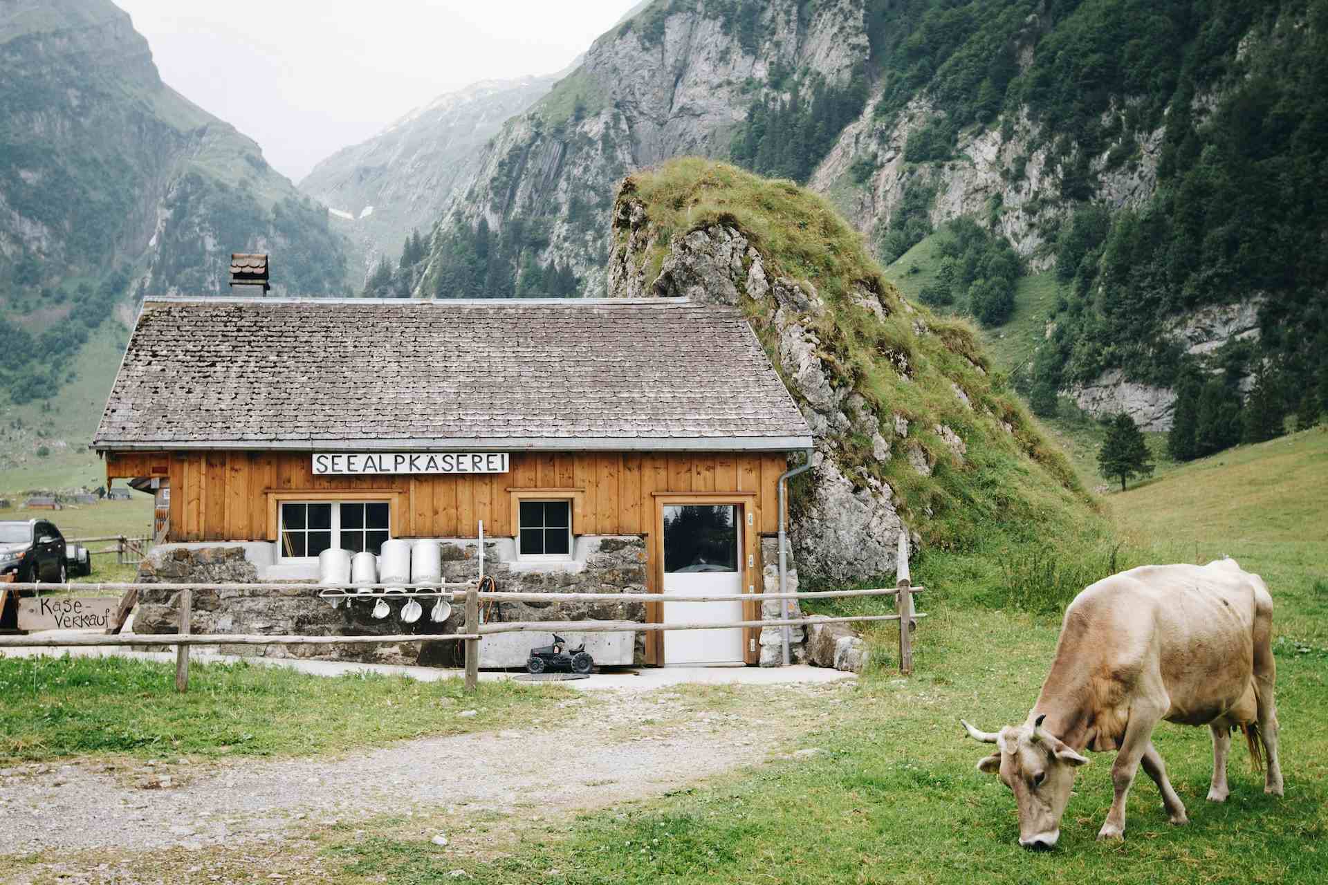 Sunnehof, produttore nel Büriswilen canton Appenzell Rhodes Int. in Svizzera