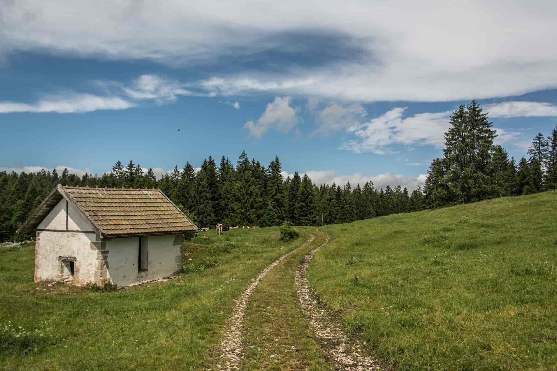 Le Grenier de Capucine, producteur à Enges canton de Neuchâtel en Suisse