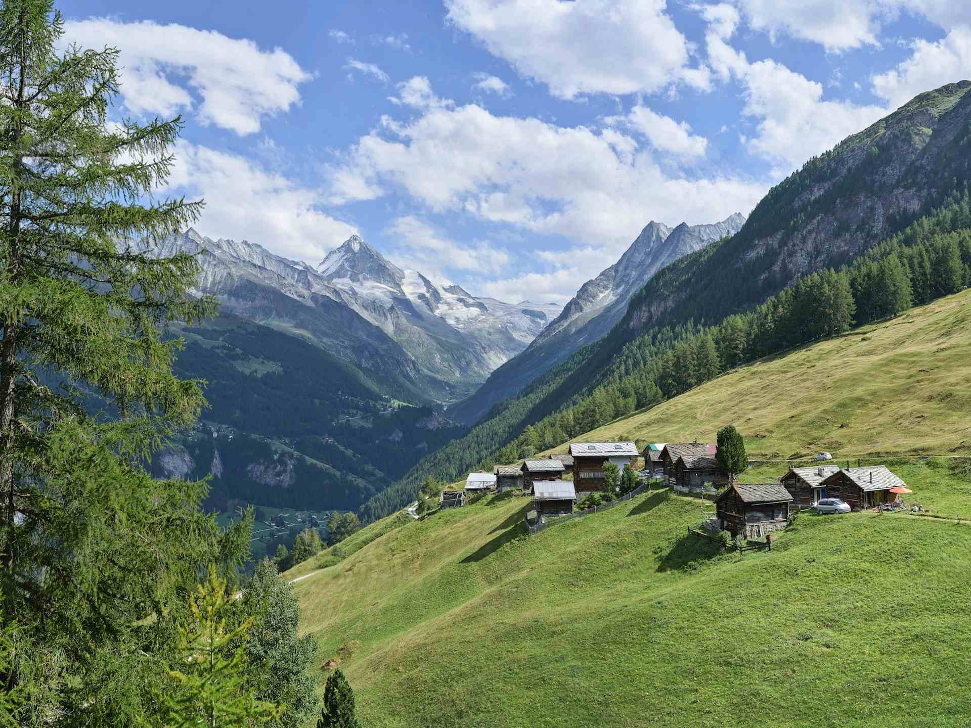 Ferme de Beauchegneau, producer in La Forclaz canton of Valais in Switzerland, | Mimelis