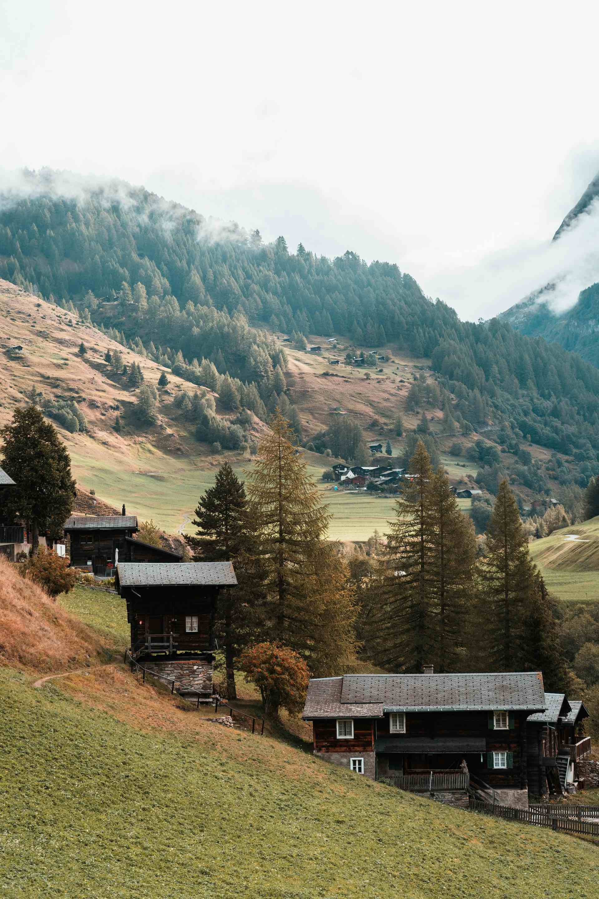 La ferme bio "des Croires", Produzent in Troistorrents Kanton Wallis in der Schweiz