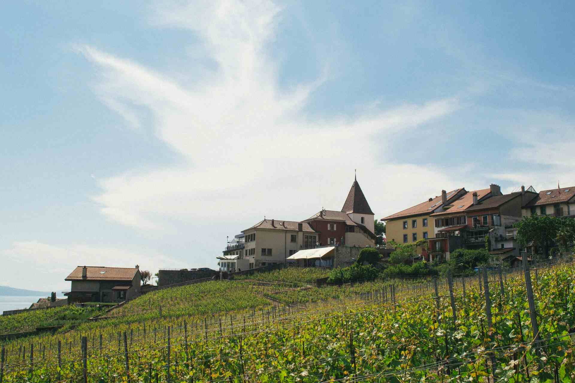 Domaine de la Grange de Montricher, producer in Le Mont-sur-Lausanne canton of Vaud in Switzerland