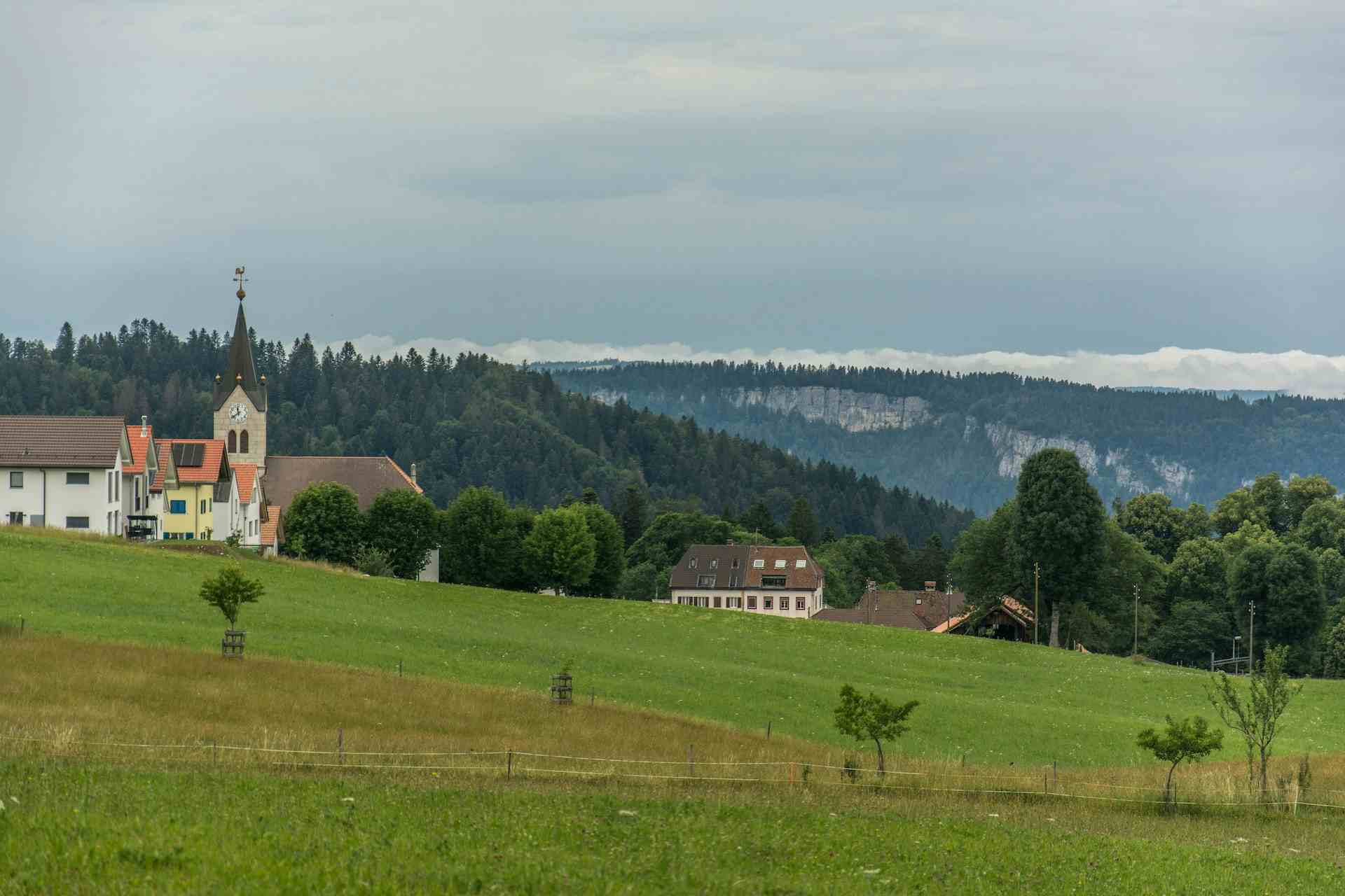 Ackerweid, producteur à Biglen canton de Berne en Suisse, | Mimelis