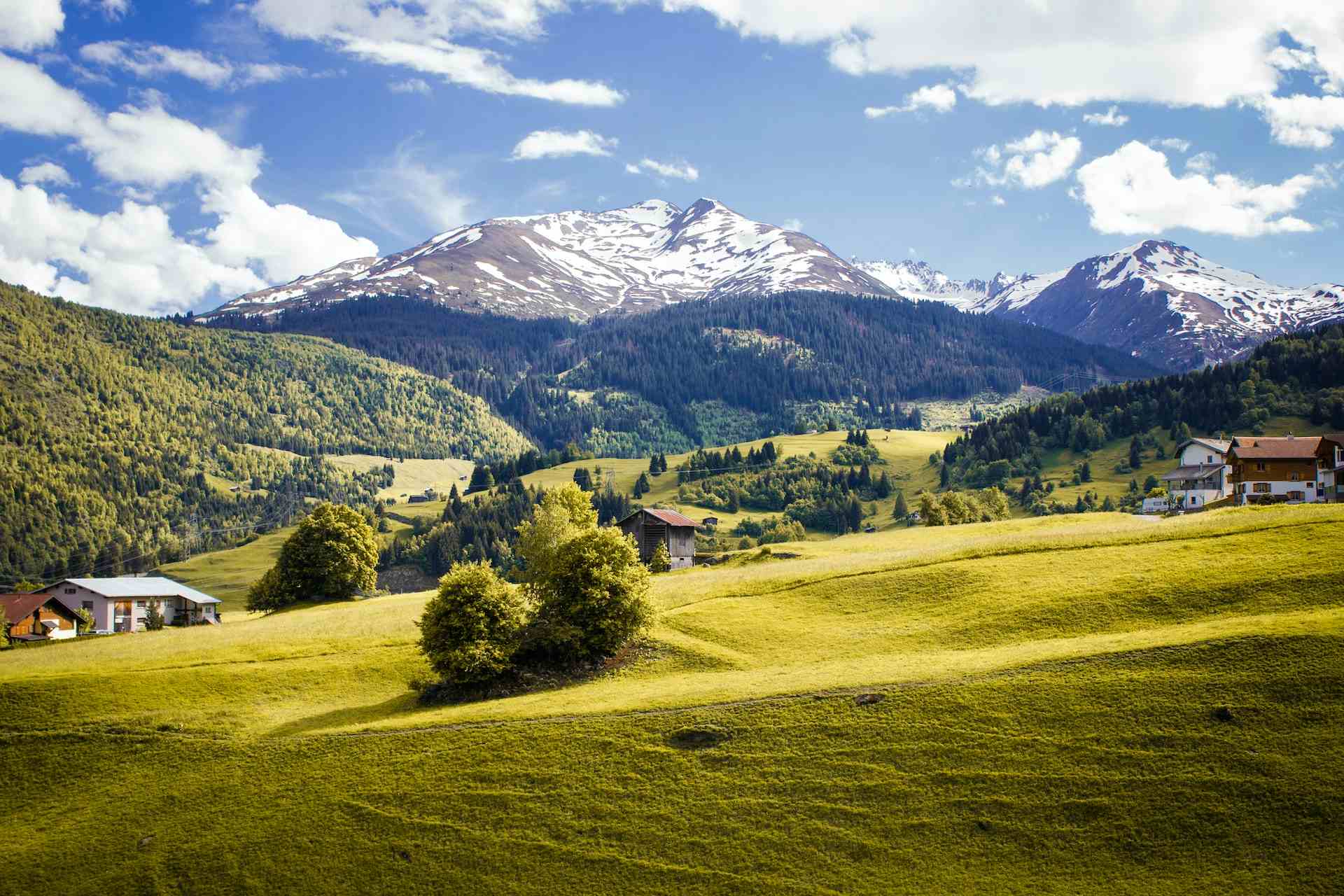 Azienda Triii Agricola, Produzent in Roveredo Kanton Graubünden in der Schweiz
