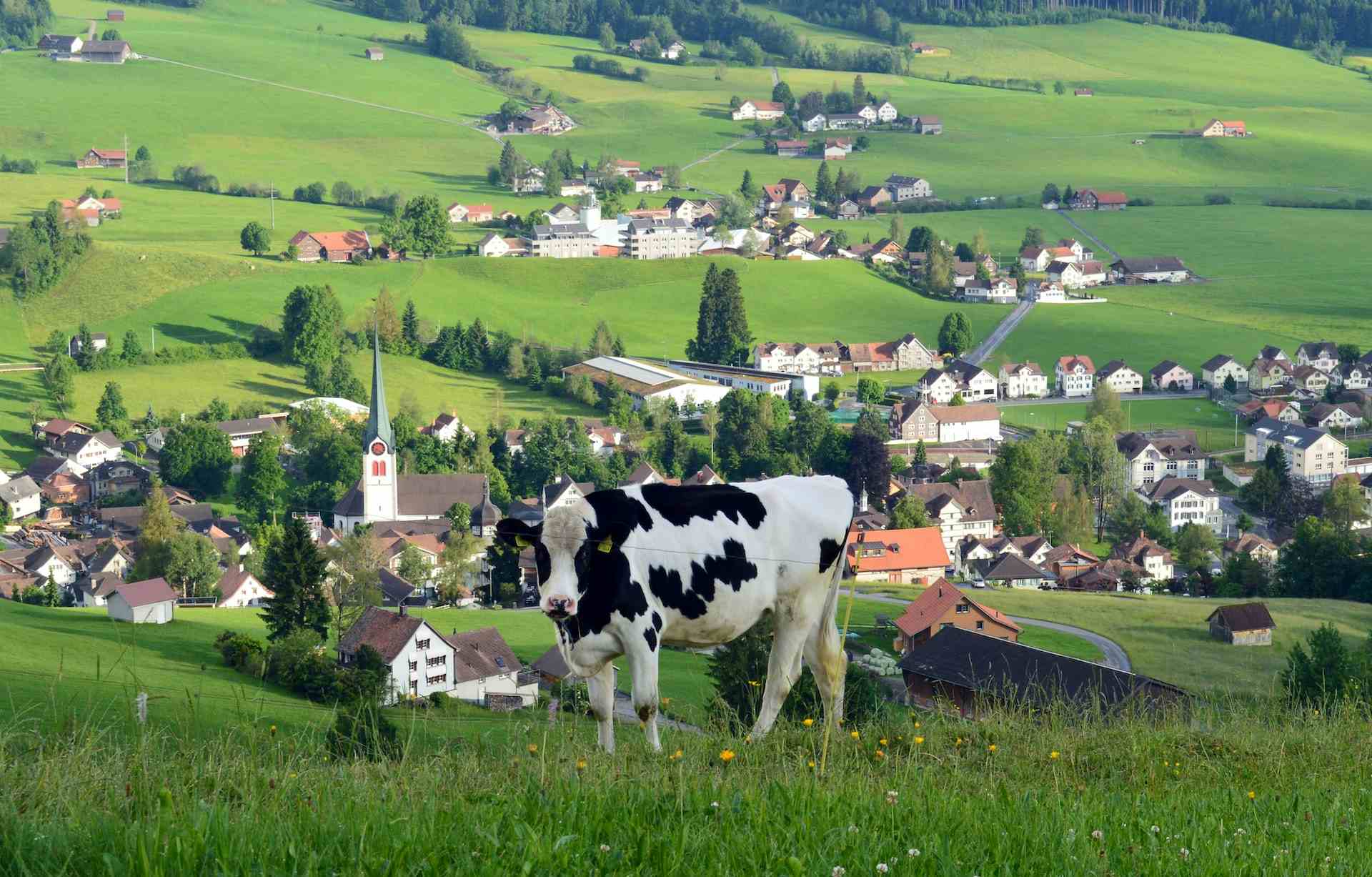 Mühltoblerhof, Produzent in Niederteufen Kanton Appenzell Rhodos DW in der Schweiz