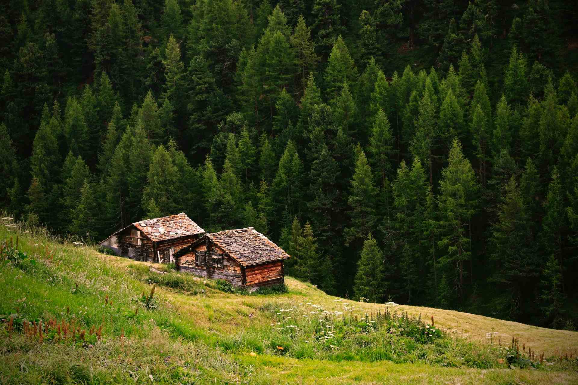 Alpage de la Pâle, producteur à Val d'Illiez canton de Valais en Suisse, | Mimelis
