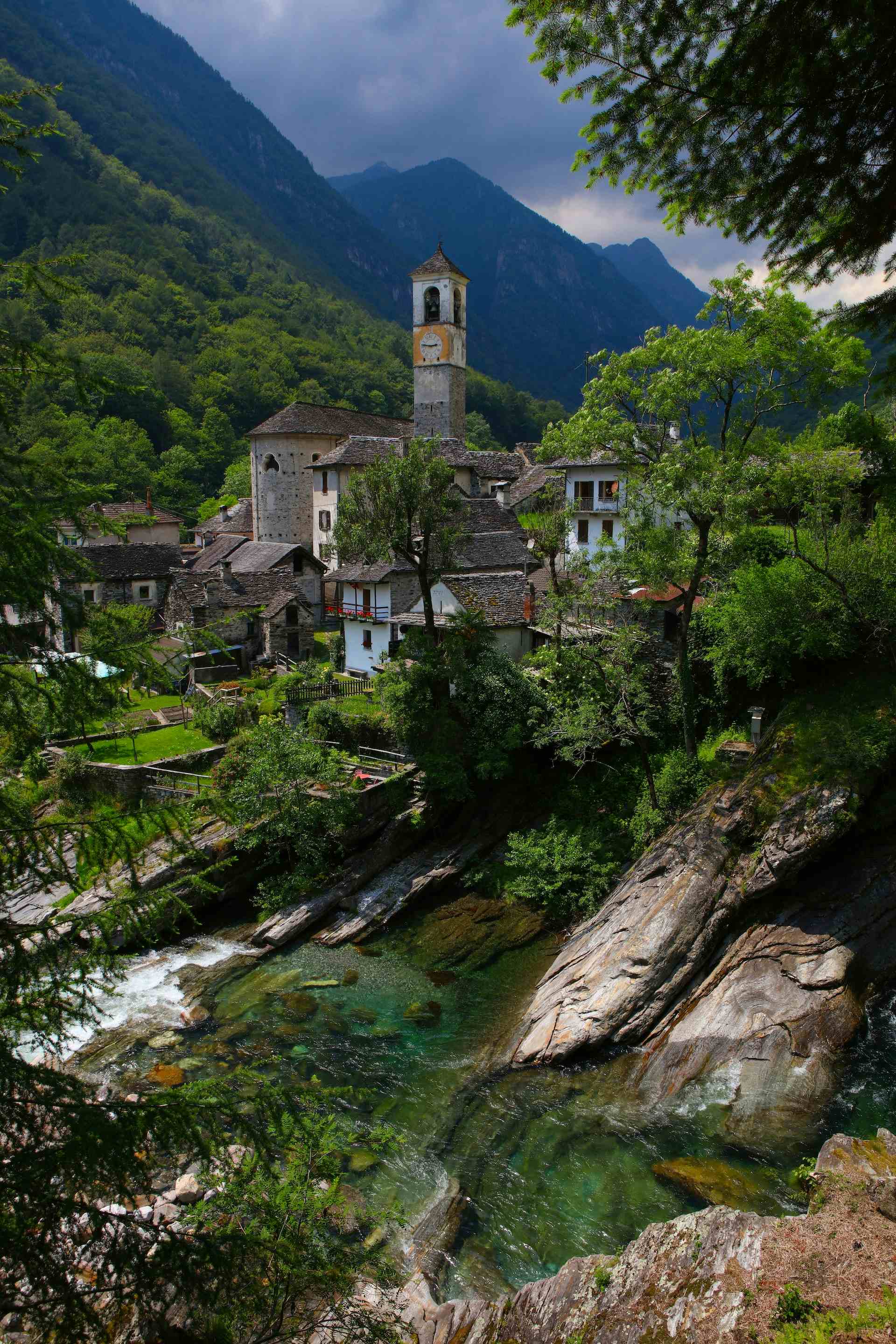Le capre del monte Pettine, produttore nel Quinto canton Ticino in Svizzera