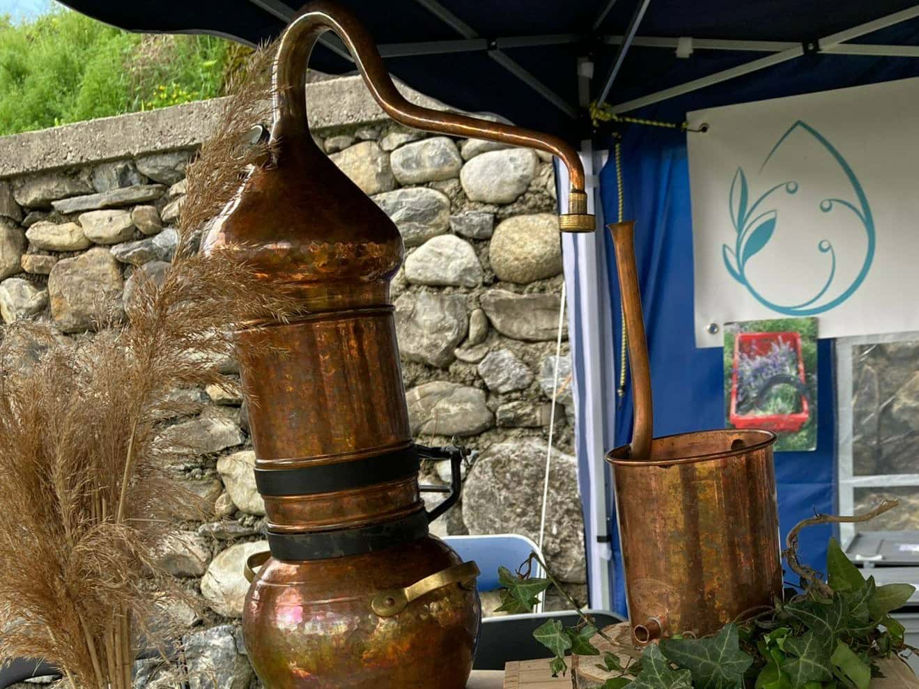 Panier de légumes en vente directe du producteur