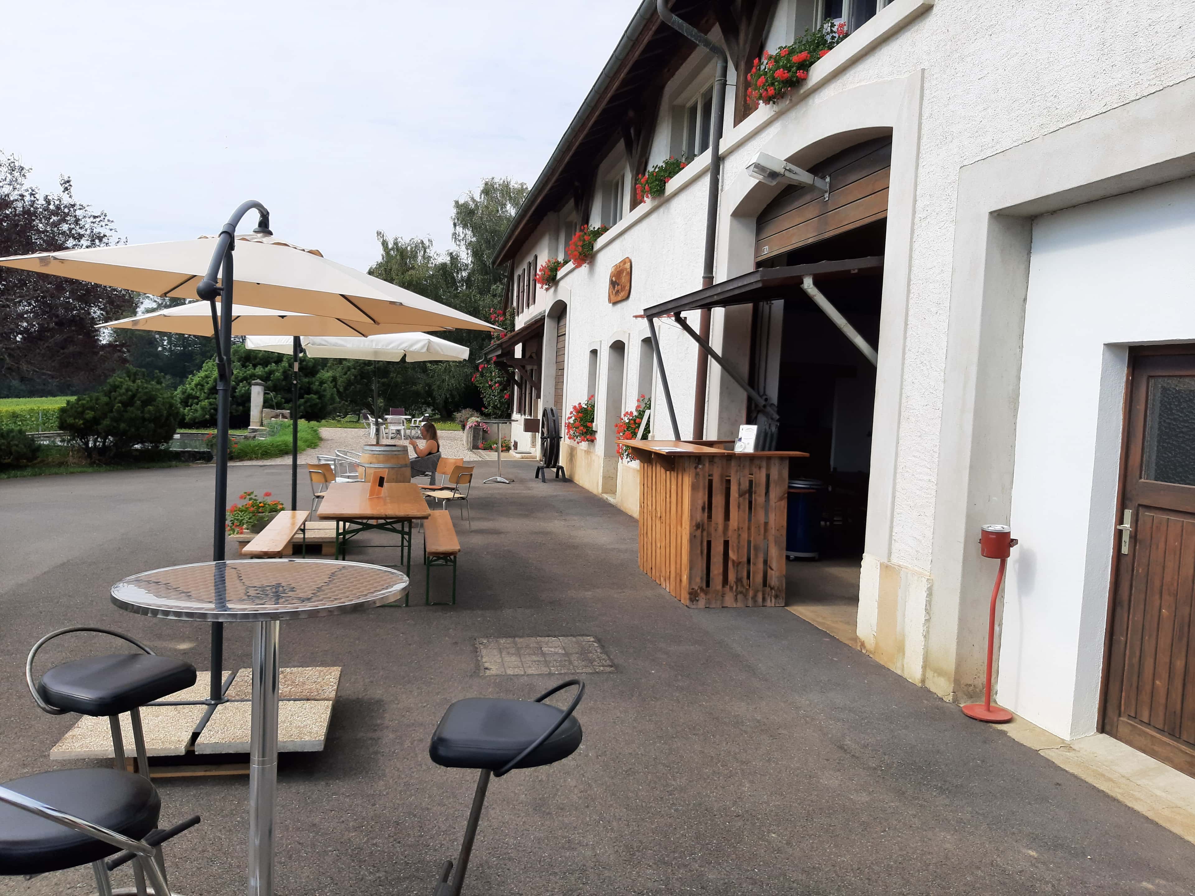 Gemüsekorb direkt vom Erzeuger verkauft