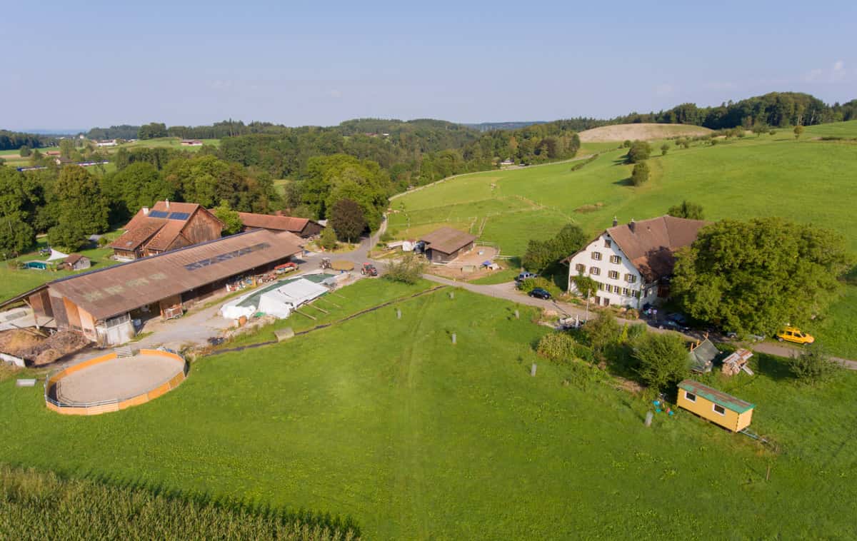 Panier de légumes en vente directe du producteur