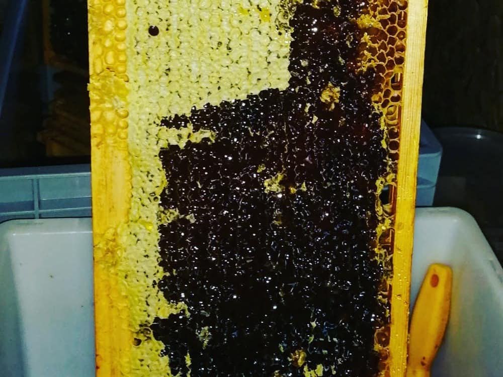 miele di montagna, Merveilleuses abeilles , Sion, | Mimelis image 2
