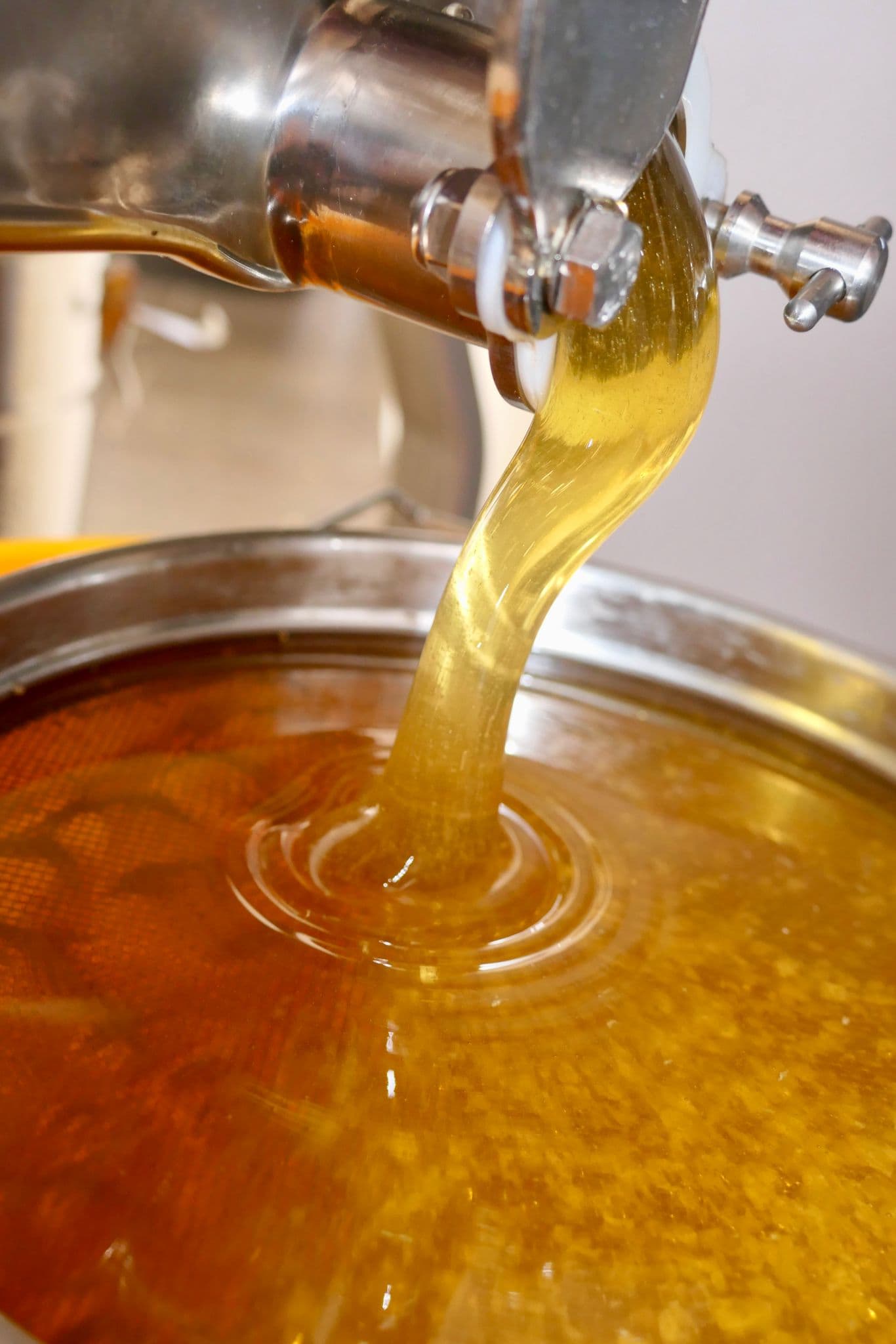 Imkerei Thüler Honig logo