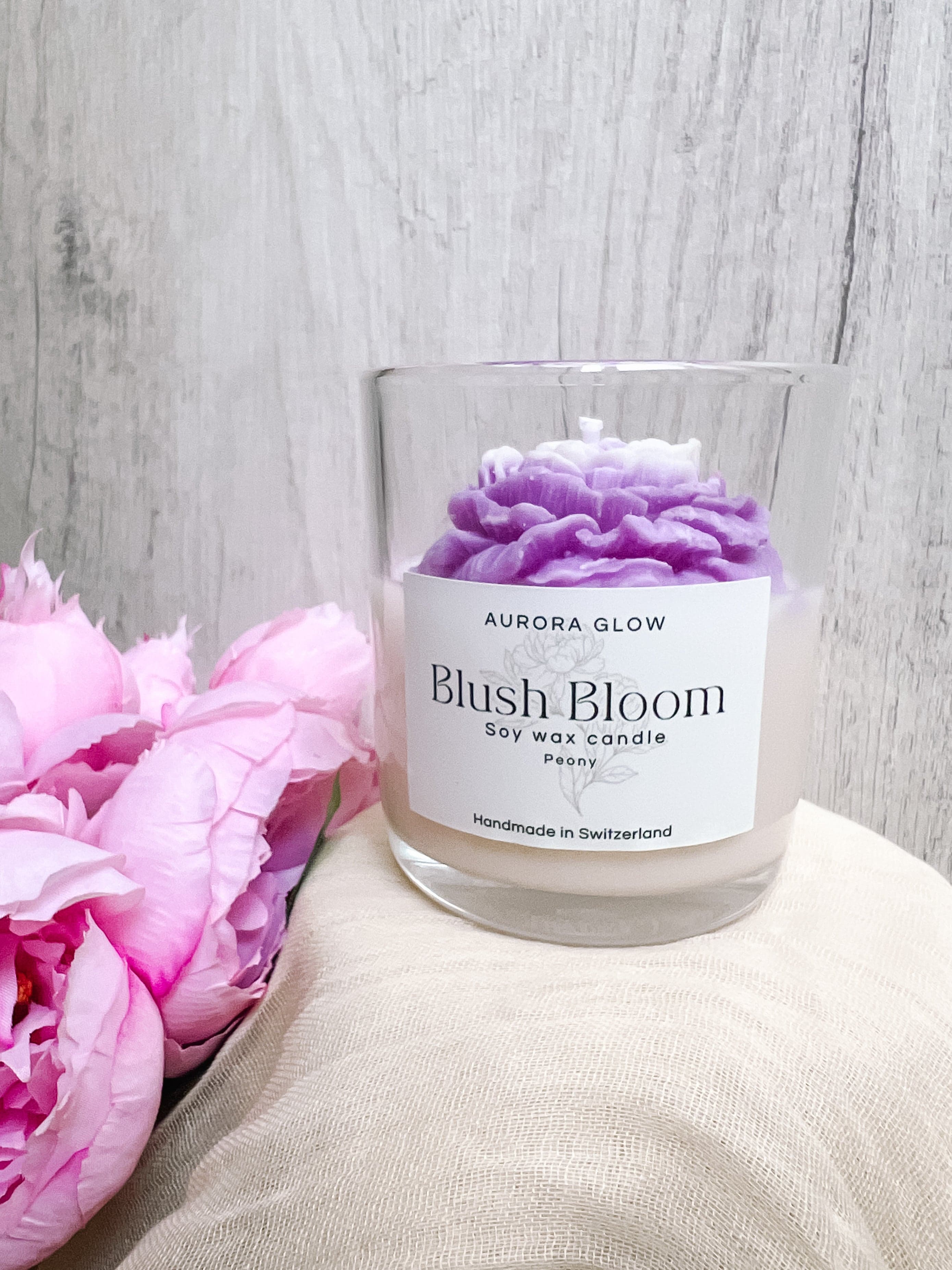 Blush Bloom | Pfingstrose, Aurora Glow