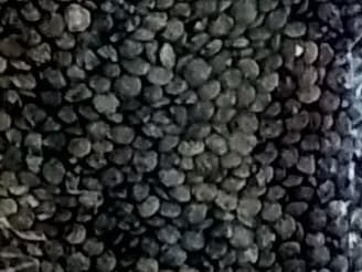 Lentilles vertes en grand contenant de 25kg, Hauert's Kartoffeln & Linsen