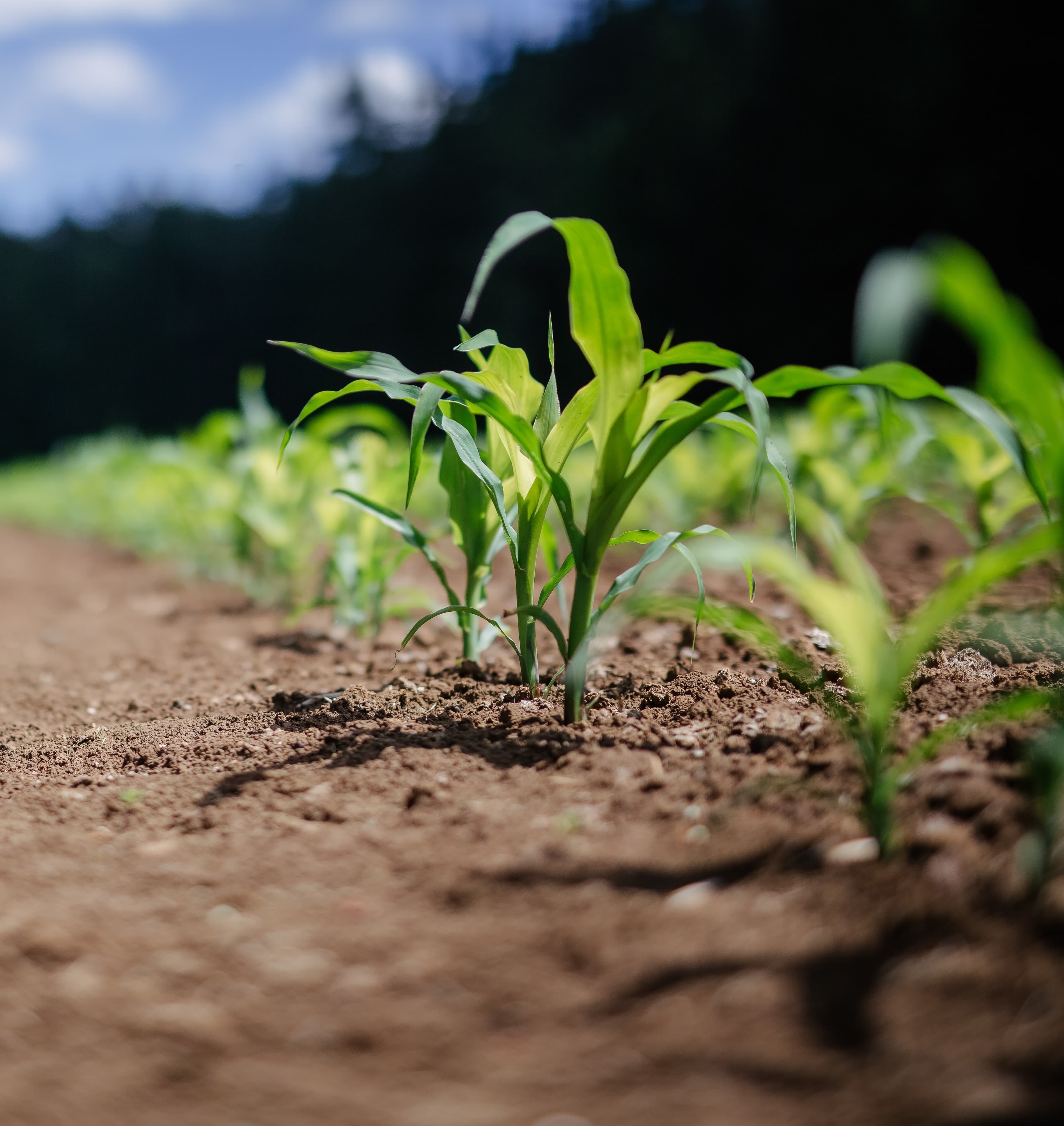 <p>Votre self-service autonome et vraiment tr&egrave;s pratique</p>