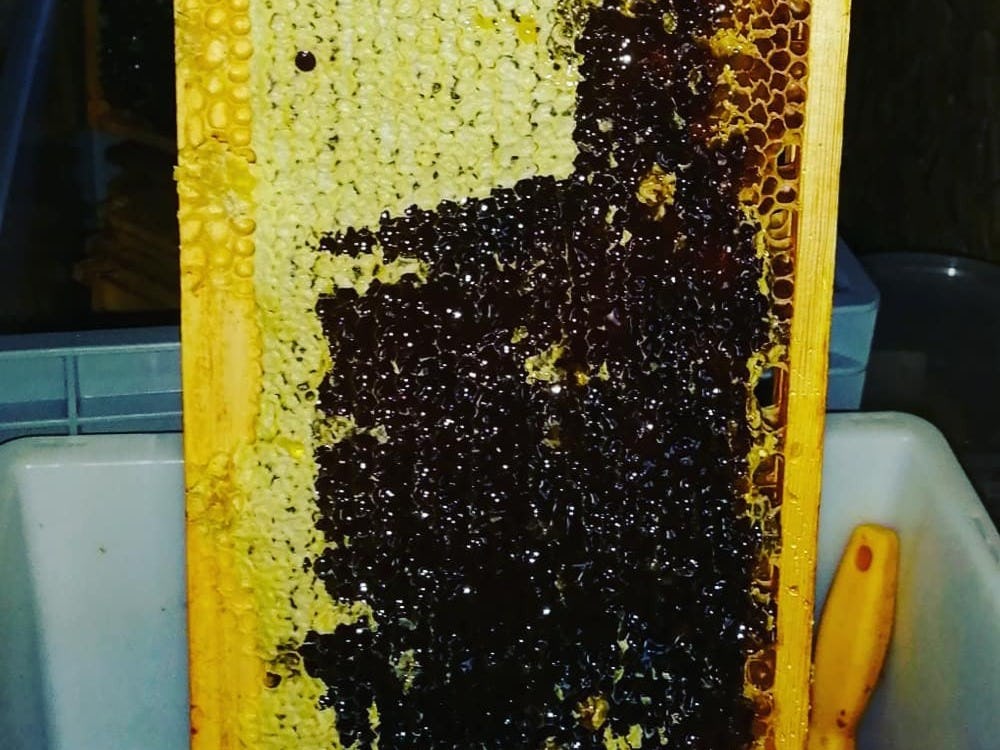 miele di montagna, Merveilleuses abeilles , Sion, image 2 | Mimelis