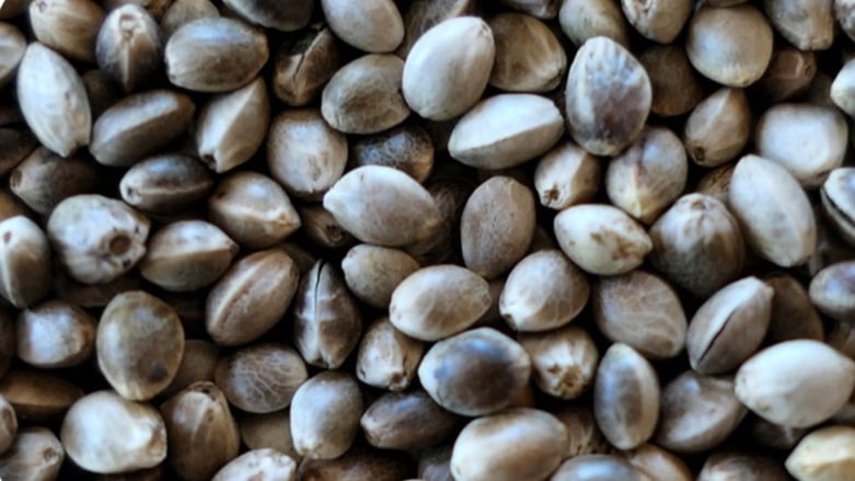 Savonnerie NEPTUNE, producteur à Crésuz canton de Fribourg en Suisse,  image 8