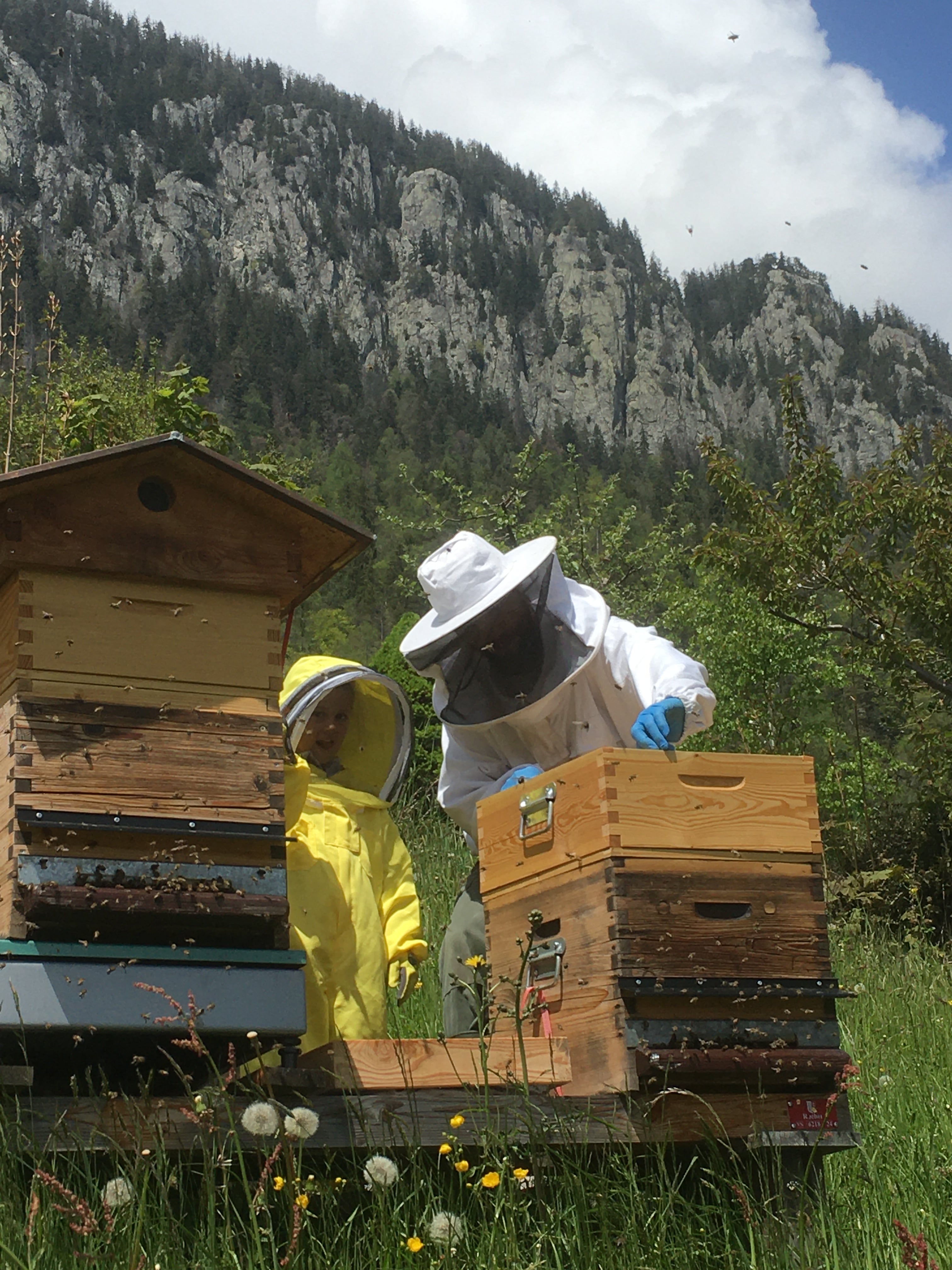 Å Produits de la Ruche, producteur à Les Granges (Salvan) canton de Valais en Suisse,  image 8