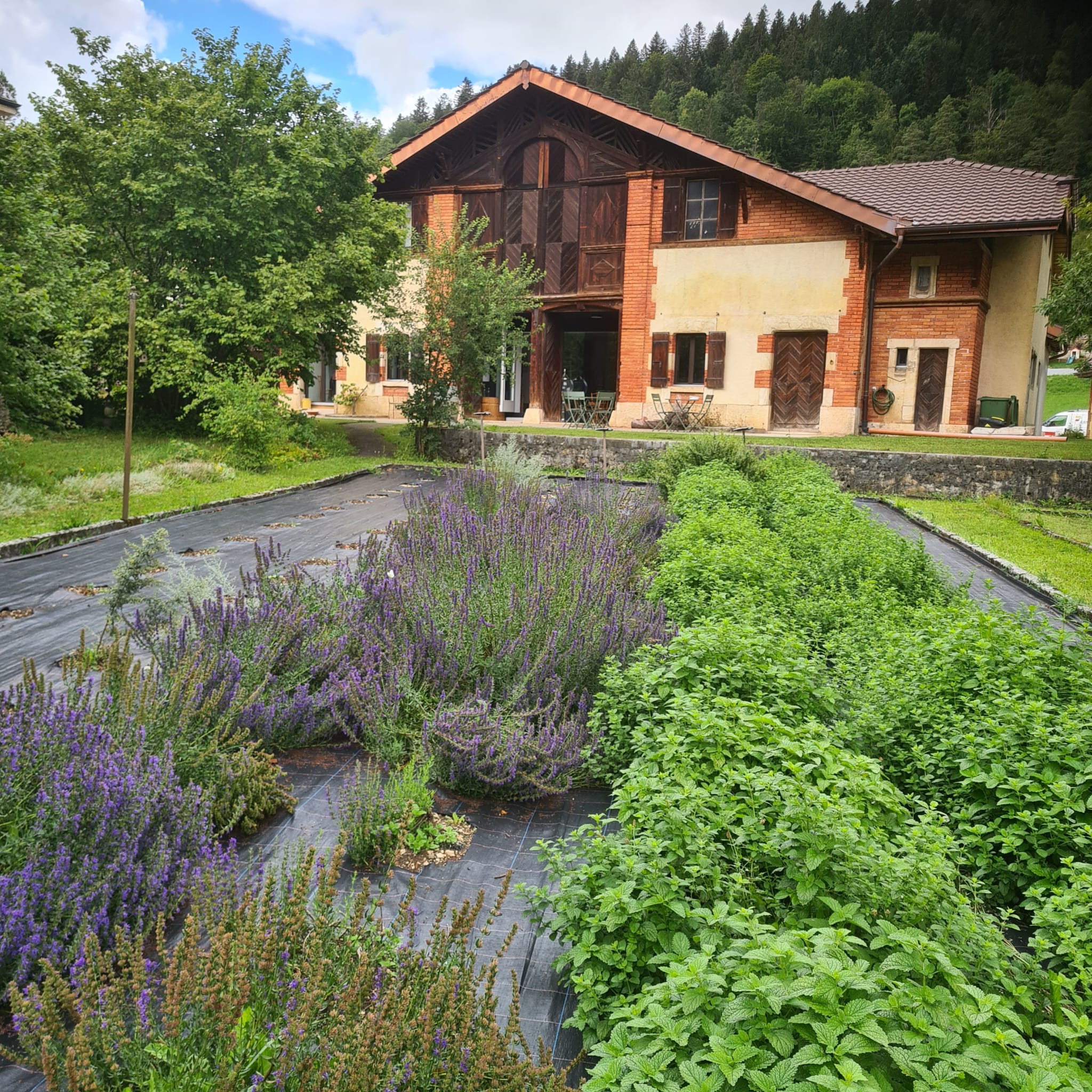 Absinthe La Valote Martin Sàrl, Produzent in Val-de-Travers Kanton Neuenburg in der Schweiz, image 1 | Mimelis