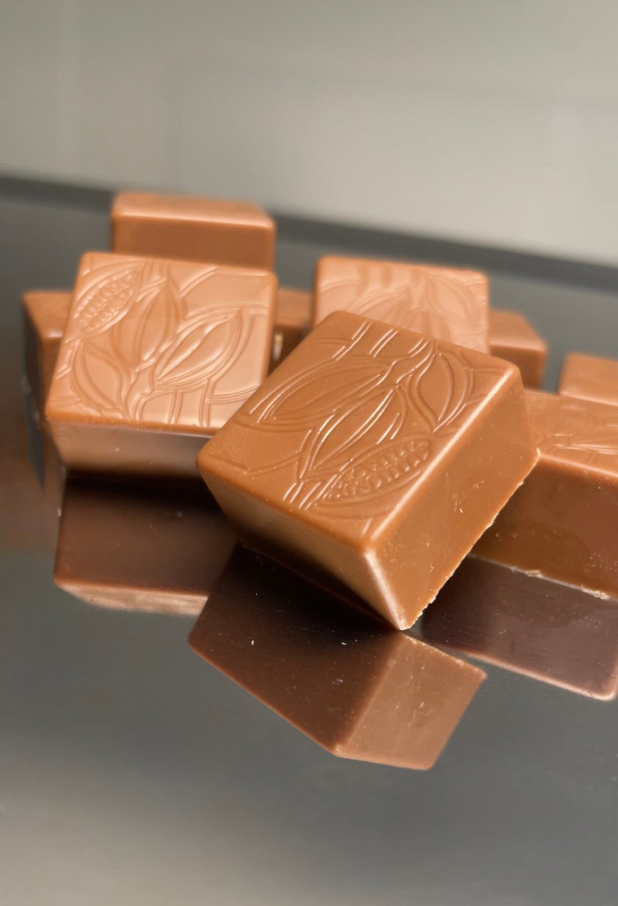 L'Aveline Chocolaterie, produttore nel Bussy FR canton Friburgo in Svizzera,  foto 1