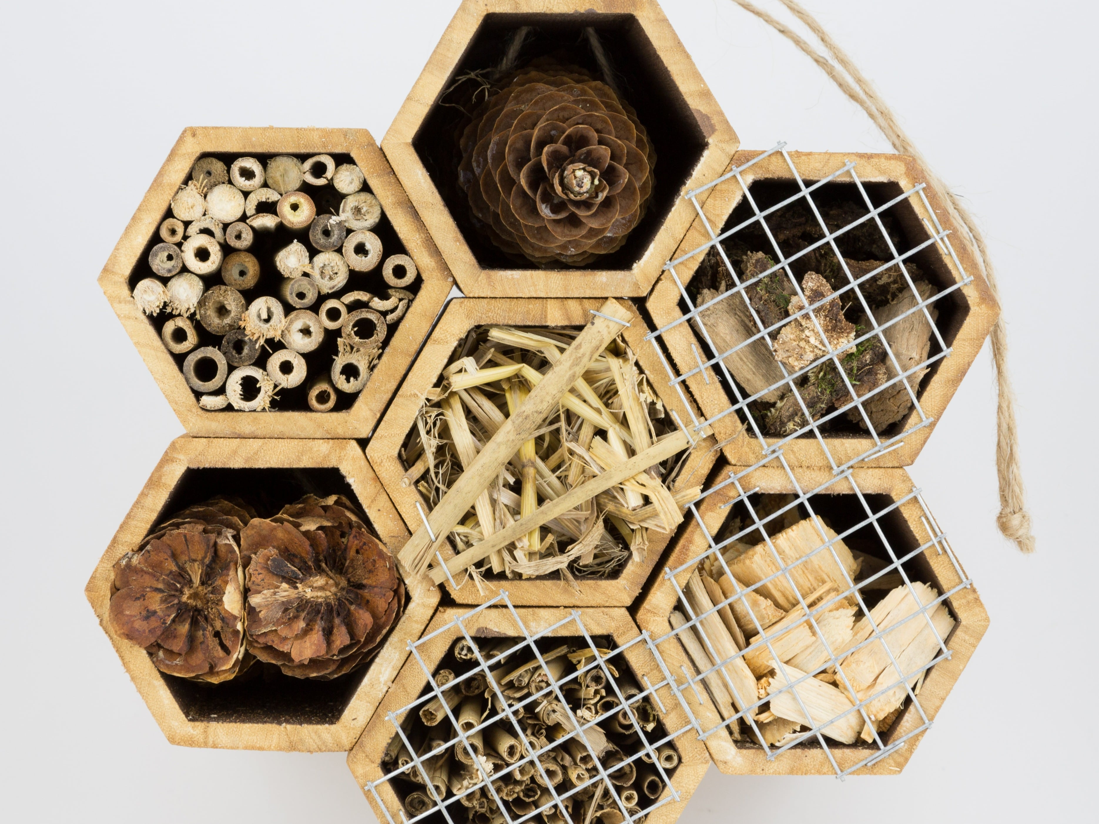 Le Goût du Miel, producteur à Courtepin canton de Fribourg en Suisse,  image 6