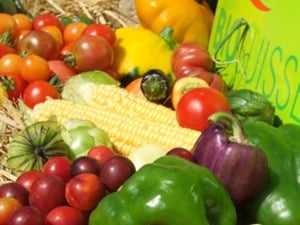 Clos du Moulin, producteur à Cuarny canton de Vaud en Suisse,  image 3