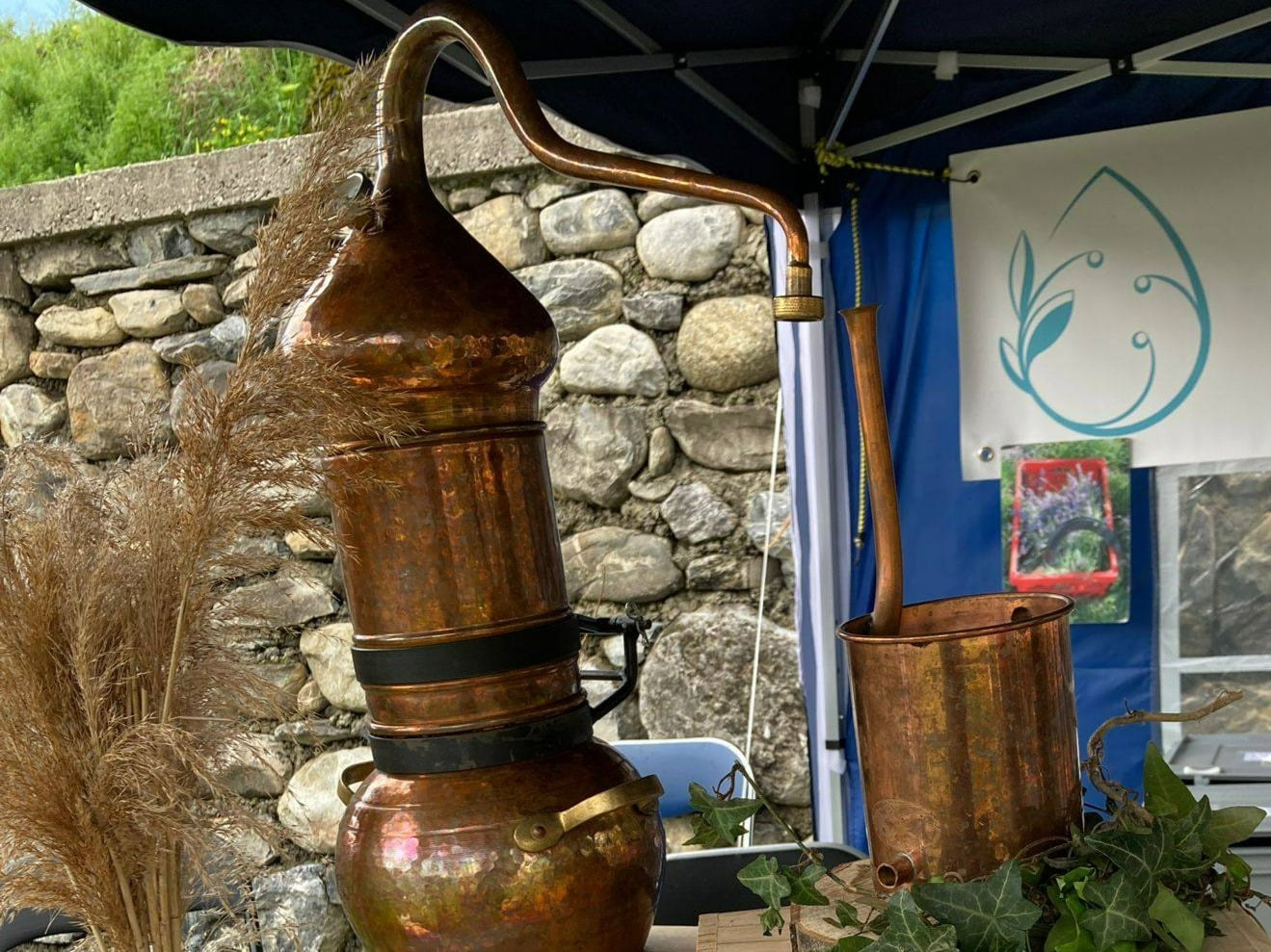 Vitaflore, producteur à Grimisuat canton de Valais en Suisse,  image 1