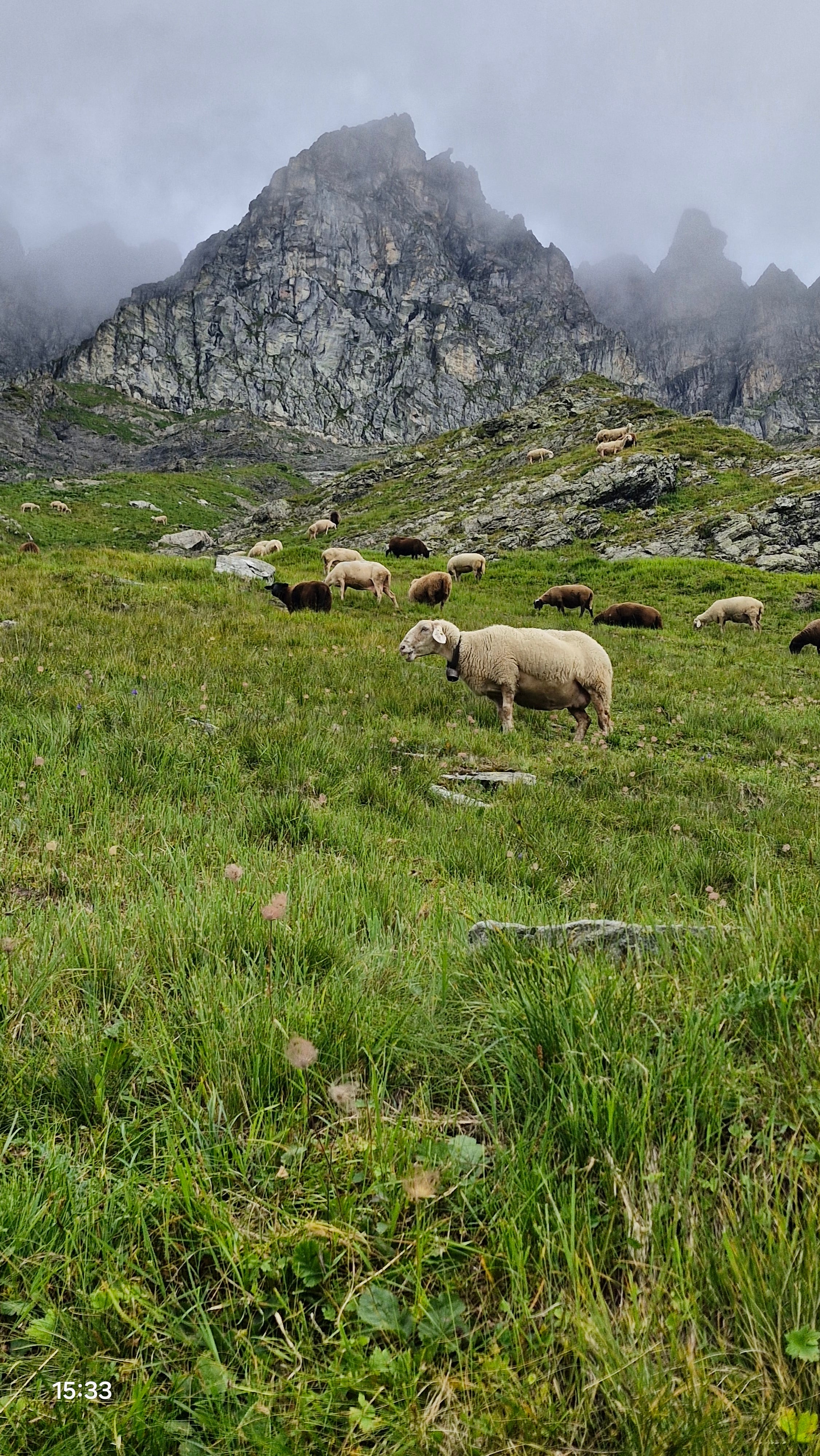 Biolandbau Guggenbüel  Hofladen , produttore nel Illnau-Effretikon canton Zurigo in Svizzera,  foto 3