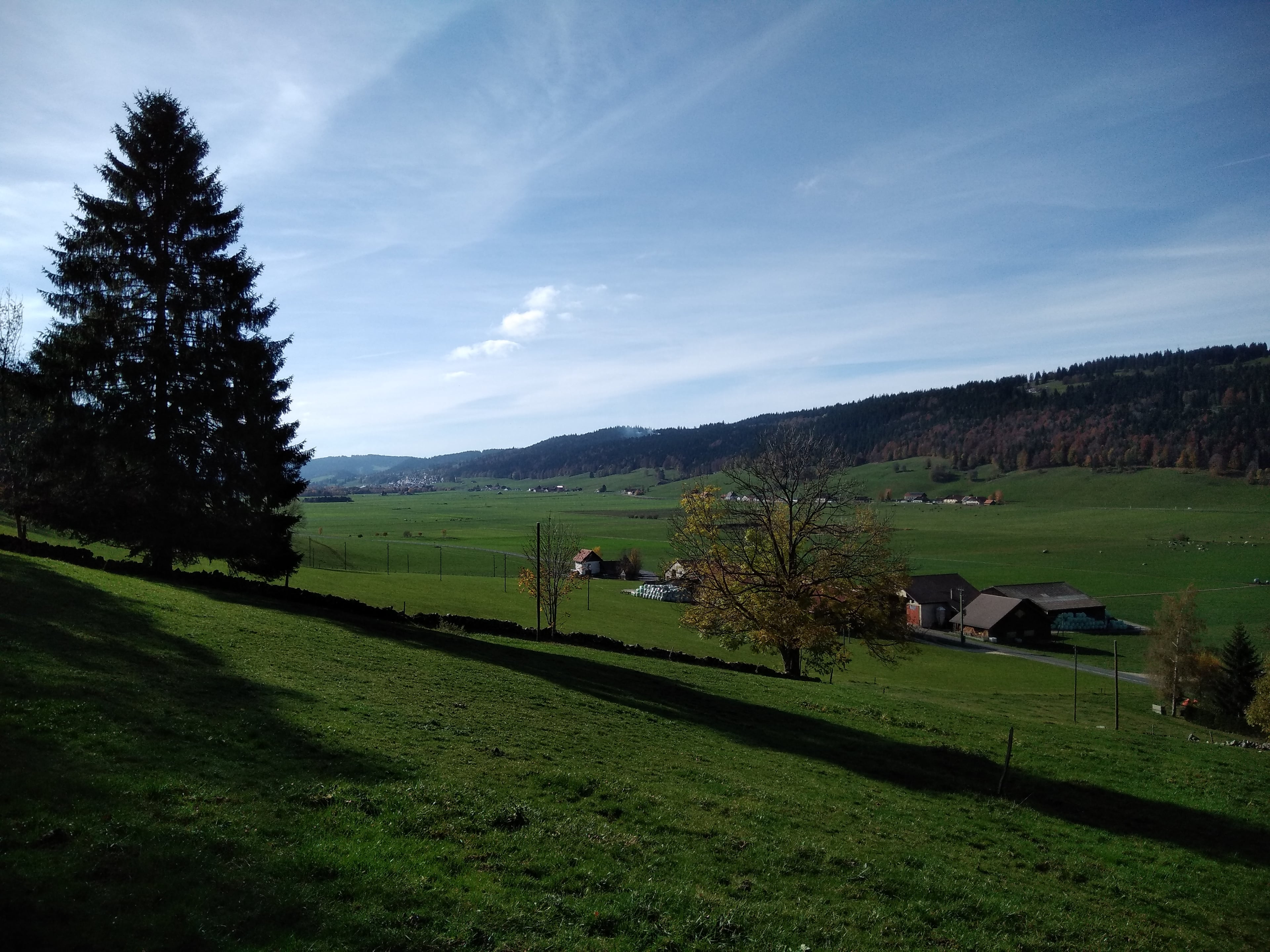 Le Domaine des 3 P, producteur à Les Ponts-de-Martel canton de Neuchâtel en Suisse,  image 1