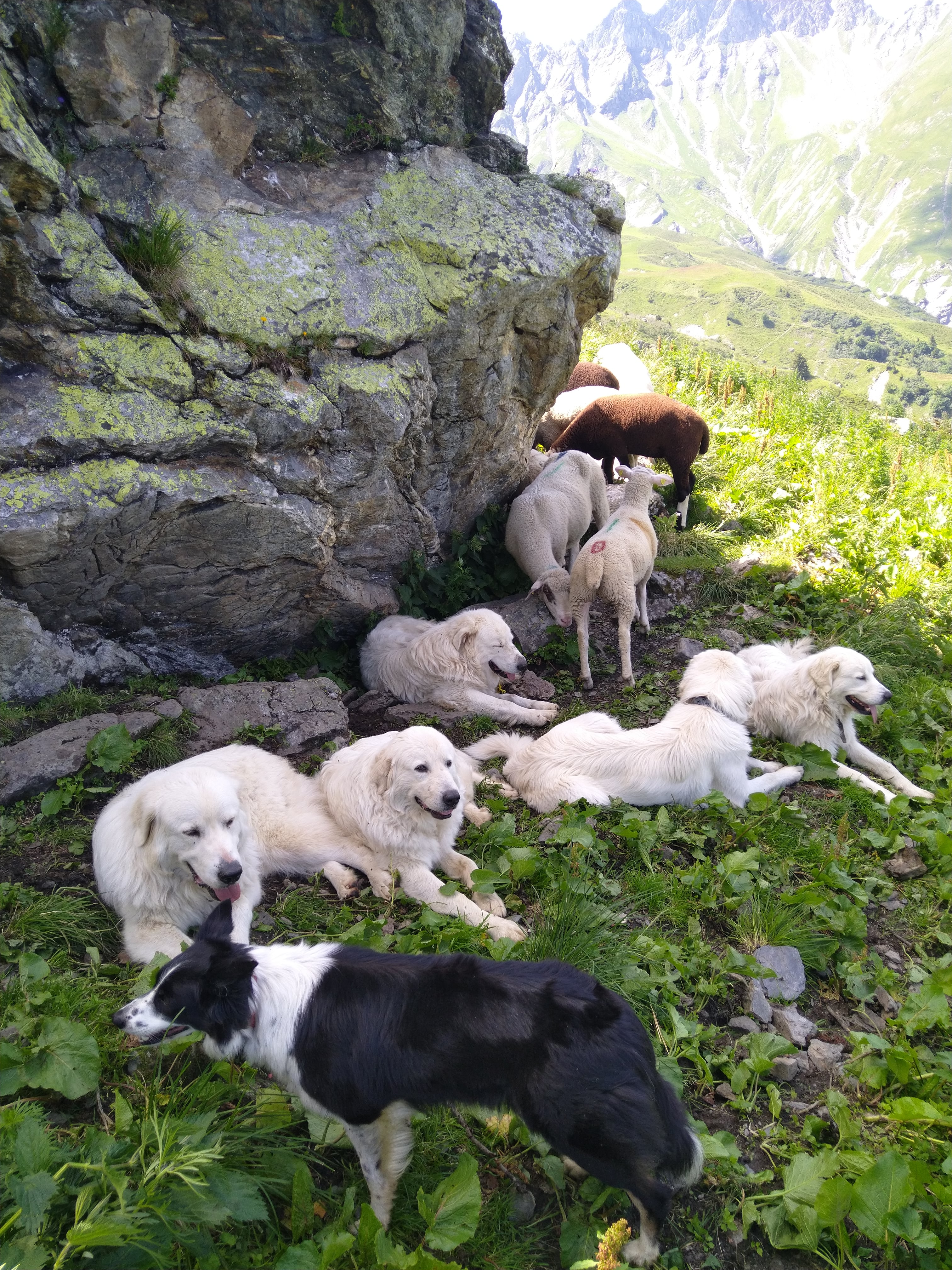 Biolandbau Guggenbüel  Hofladen , produttore nel Illnau-Effretikon canton Zurigo in Svizzera,  foto 4