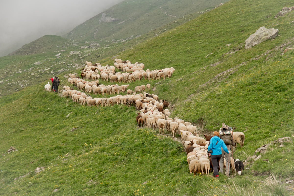 Biolandbau Guggenbüel  Hofladen , produttore nel Illnau-Effretikon canton Zurigo in Svizzera,  foto 5