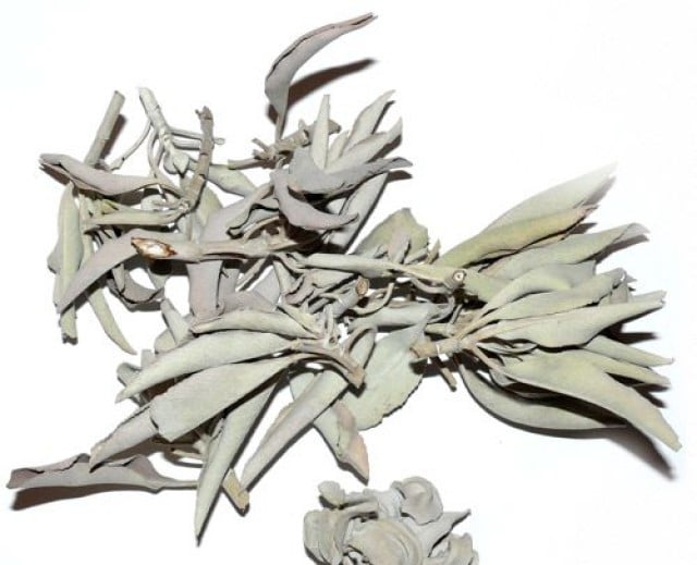 Sauge bio, C'doux, produit artisanal en vente directe en Suisse