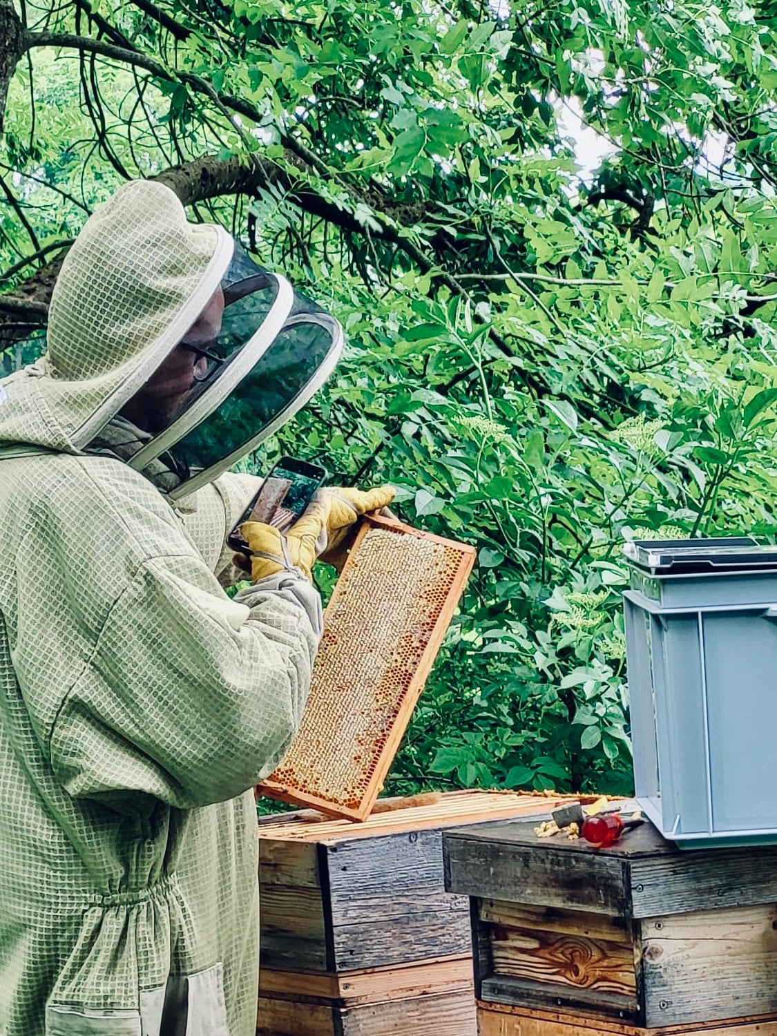 Malika, producteur à Wil canton de Saint-Gall en Suisse,  image 6