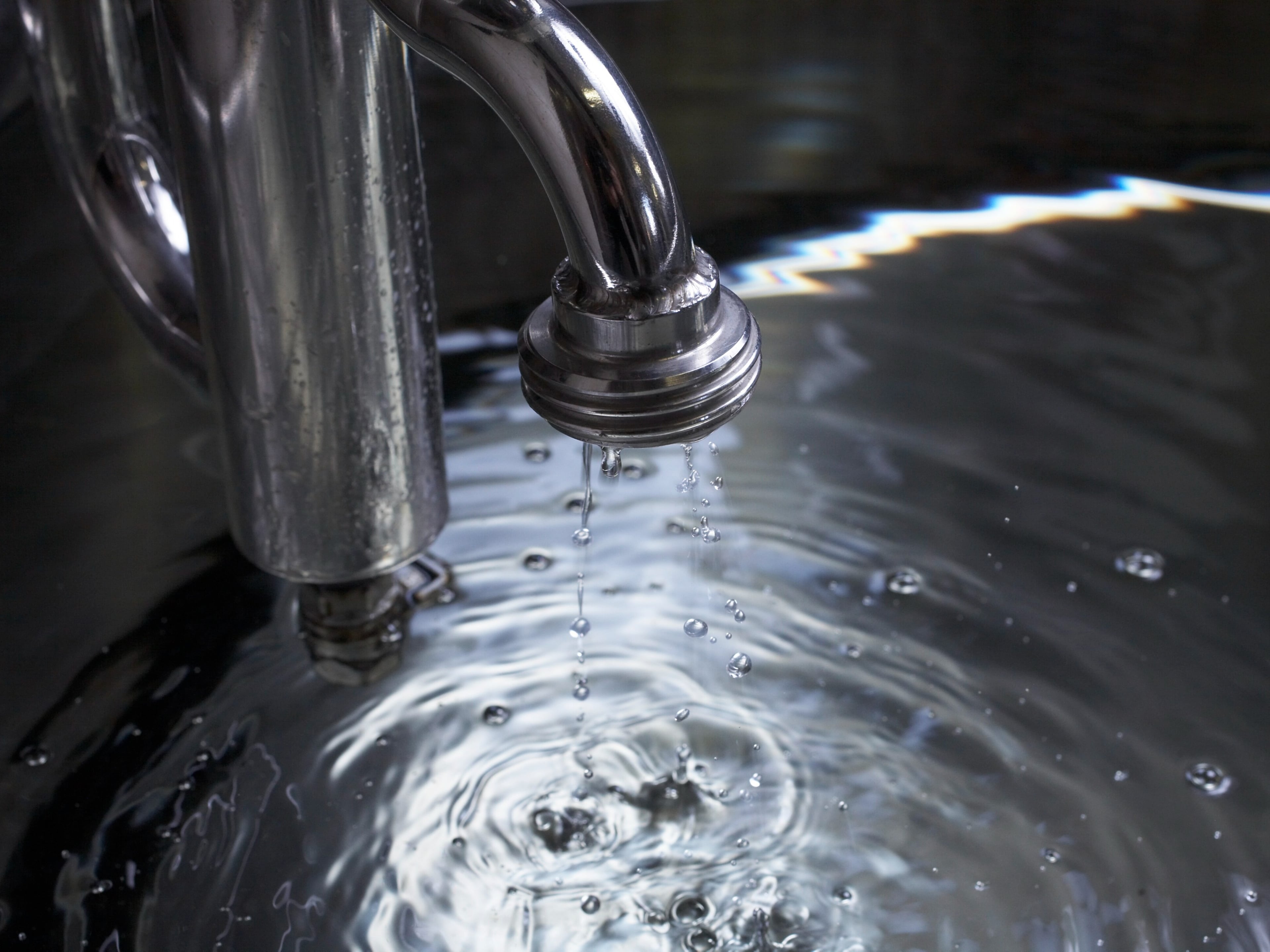 Absinthe Kübler, producteur à Val-de-Travers canton de Neuchâtel en Suisse,  image 5