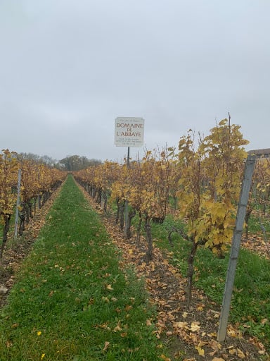 Domaine de l'Abbaye, produttore nel Présinges canton Ginevra in Svizzera,  foto 1