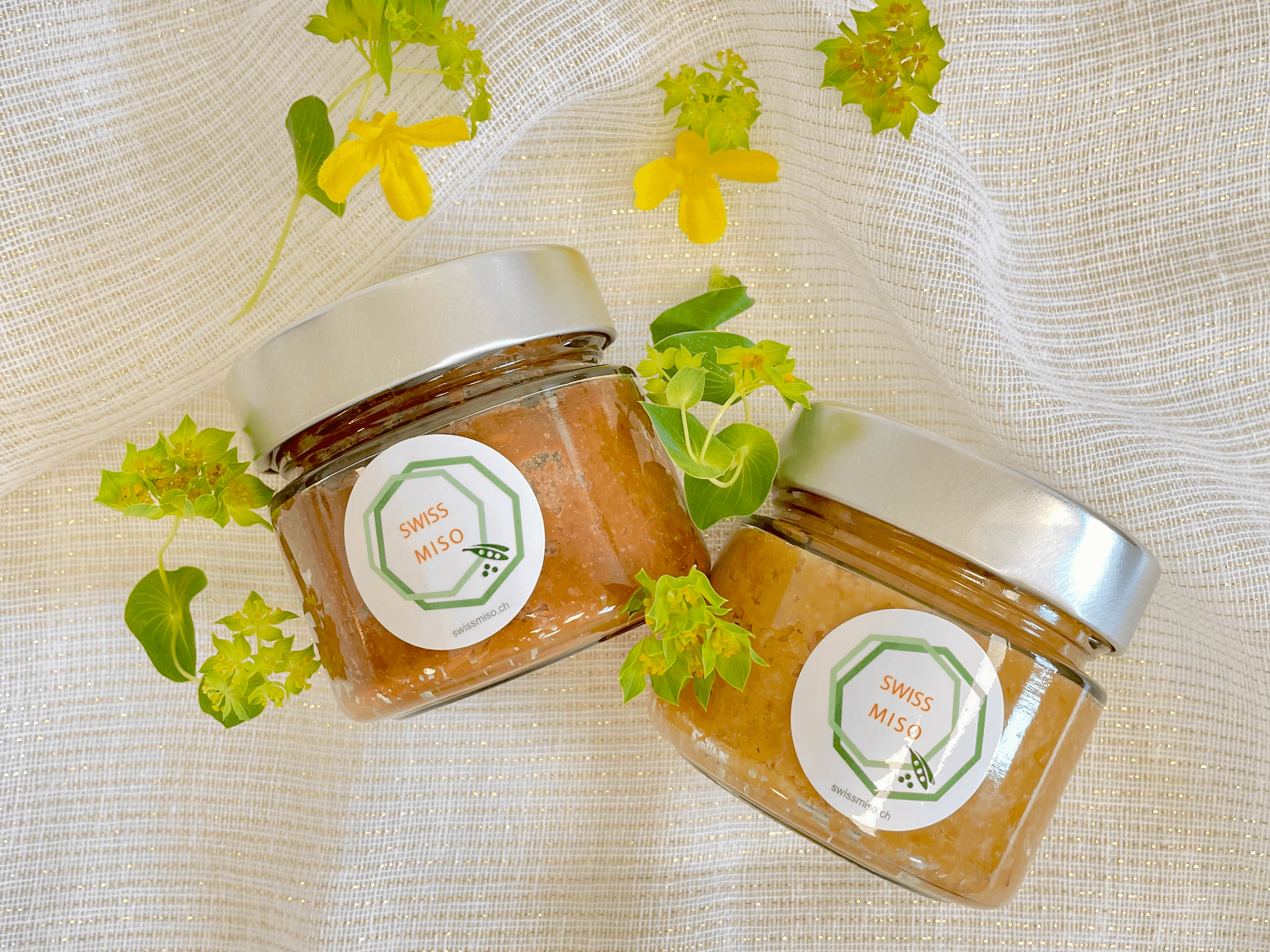 SWISSMISO, producteur à Nyon canton de Vaud en Suisse, image 1 | Mimelis