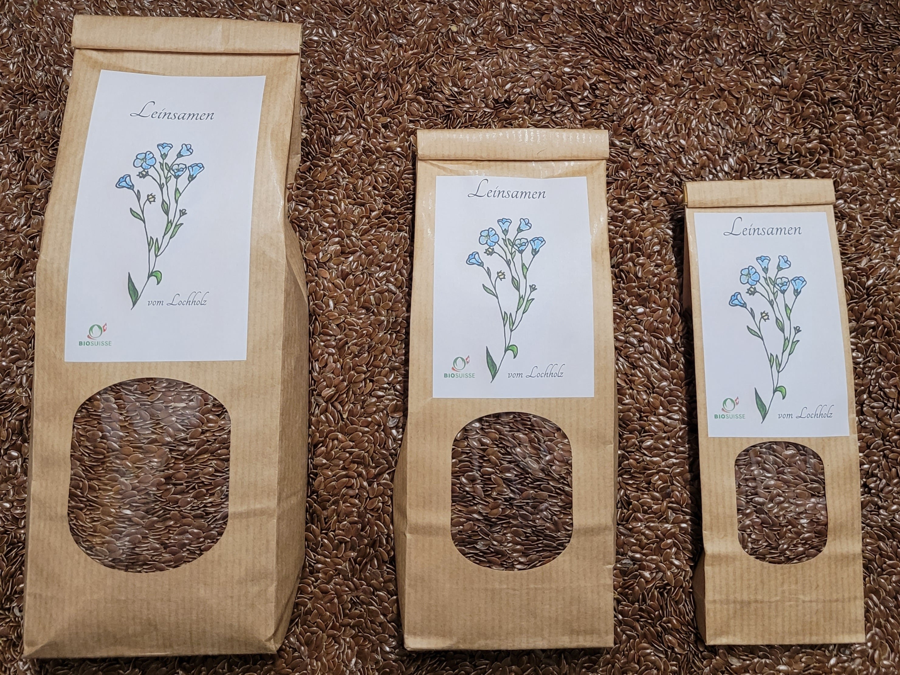 Graines de lin bio 250g, Biohof Lochholz, Murzelen, image 1 | Mimelis