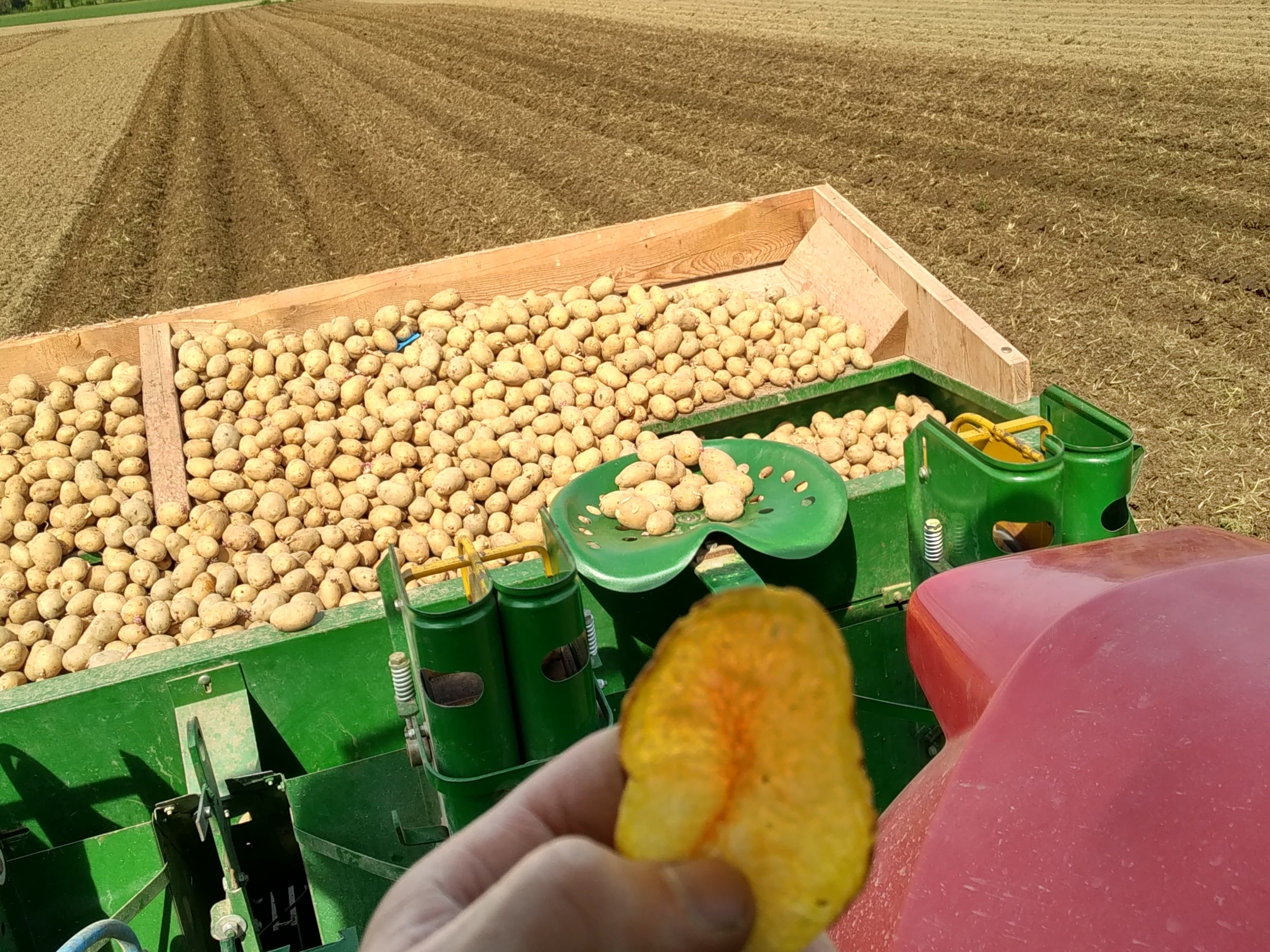 Hauert's Kartoffeln & Linsen, producteur à Niederösch canton de Berne en Suisse,  image 5