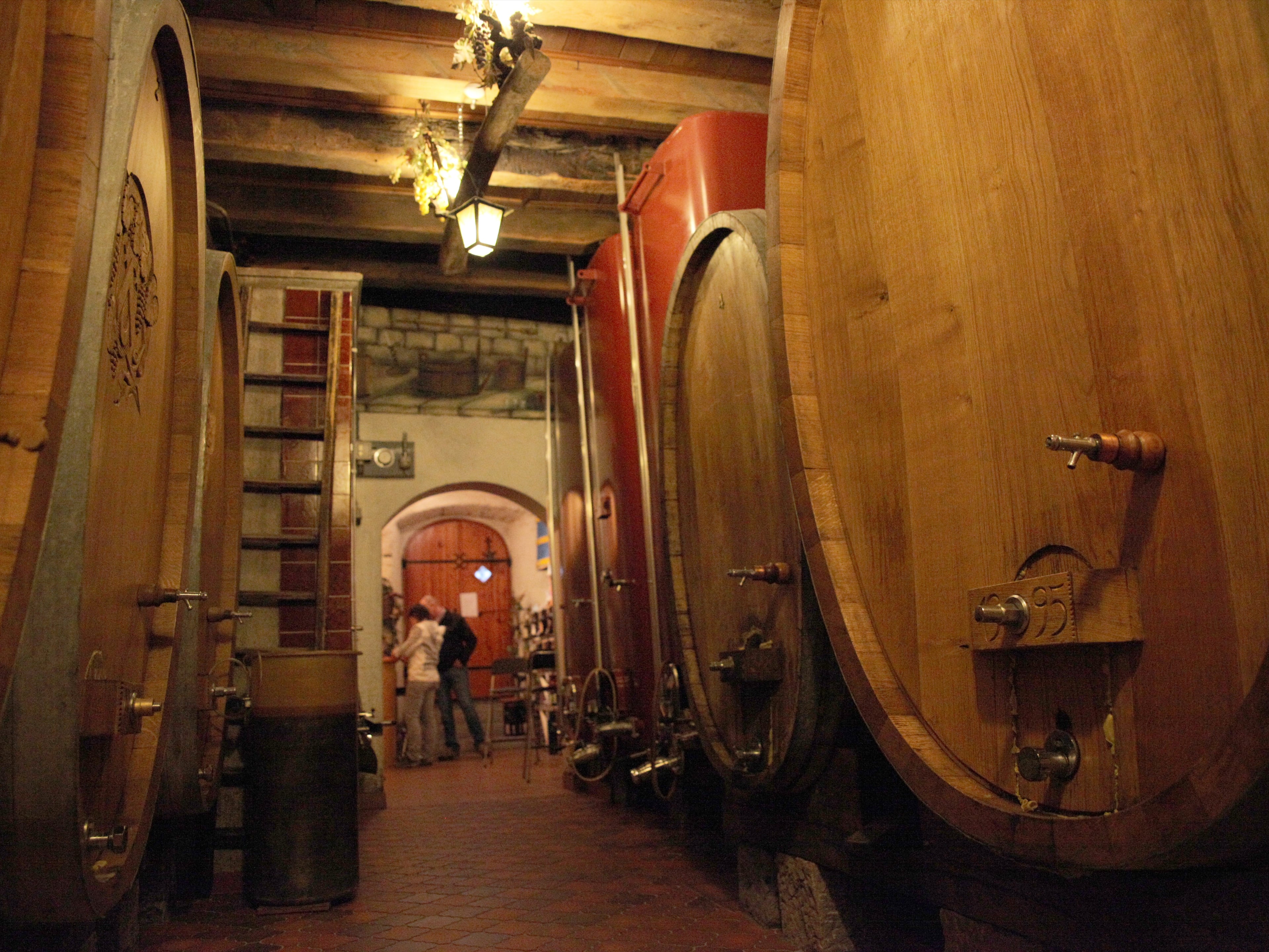 Domaine Christophe Bertholet, producteur à Villeneuve canton de Vaud en Suisse,  image 4